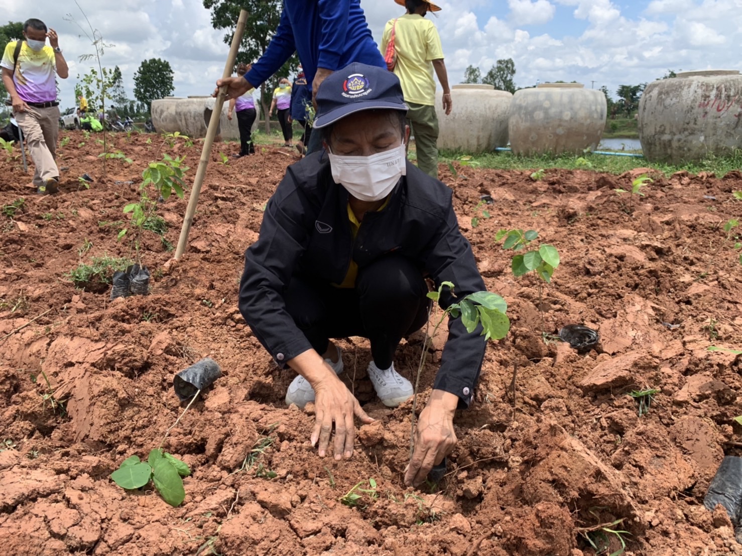 พช.รวมใจไทย ปลูกต้นไม้ เพื่อแผ่นดิน สืบสานสู่ 100 ล้านต้น