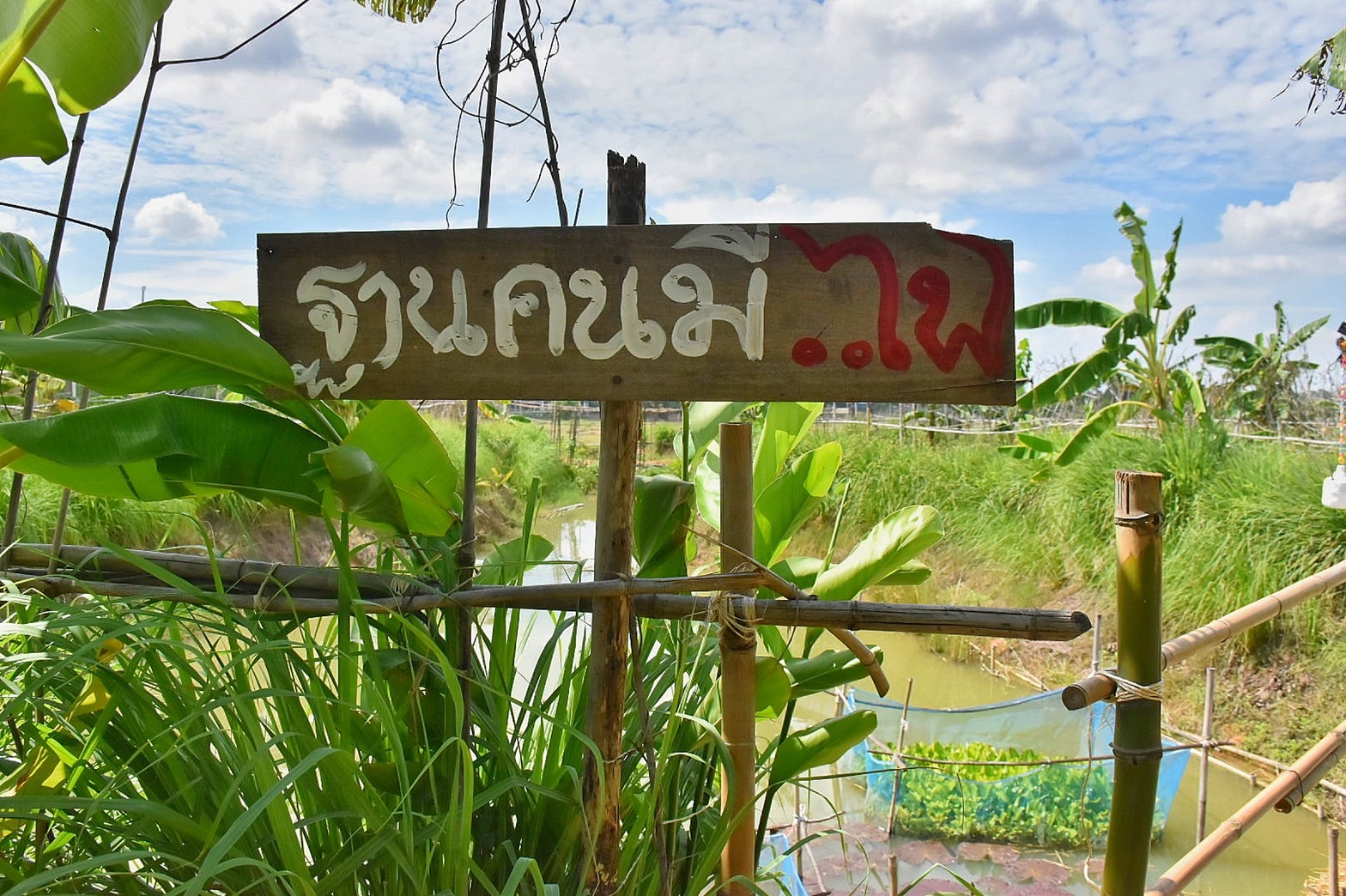 ผู้ว่าฯ มหาสารคาม นำทีมลงพื้นที่เยี่ยมให้กำลังใจ ครัวเรือนต้นแบบ โคก หนอง นา พัฒนาชุมชน อำเภอแกดำ จังหวัดมหาสารคาม