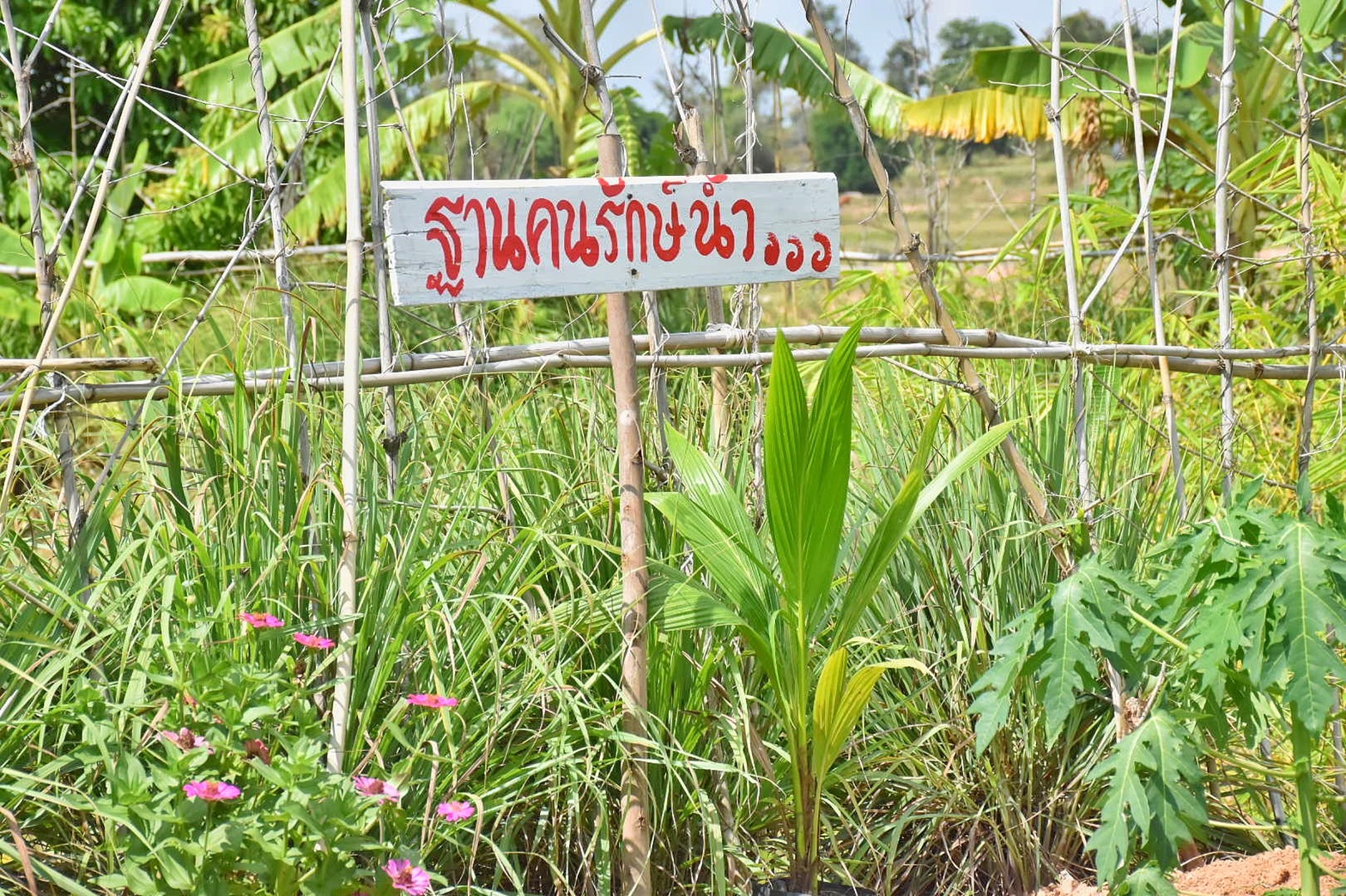 ผู้ว่าฯ มหาสารคาม นำทีมลงพื้นที่เยี่ยมให้กำลังใจ ครัวเรือนต้นแบบ โคก หนอง นา พัฒนาชุมชน อำเภอแกดำ จังหวัดมหาสารคาม