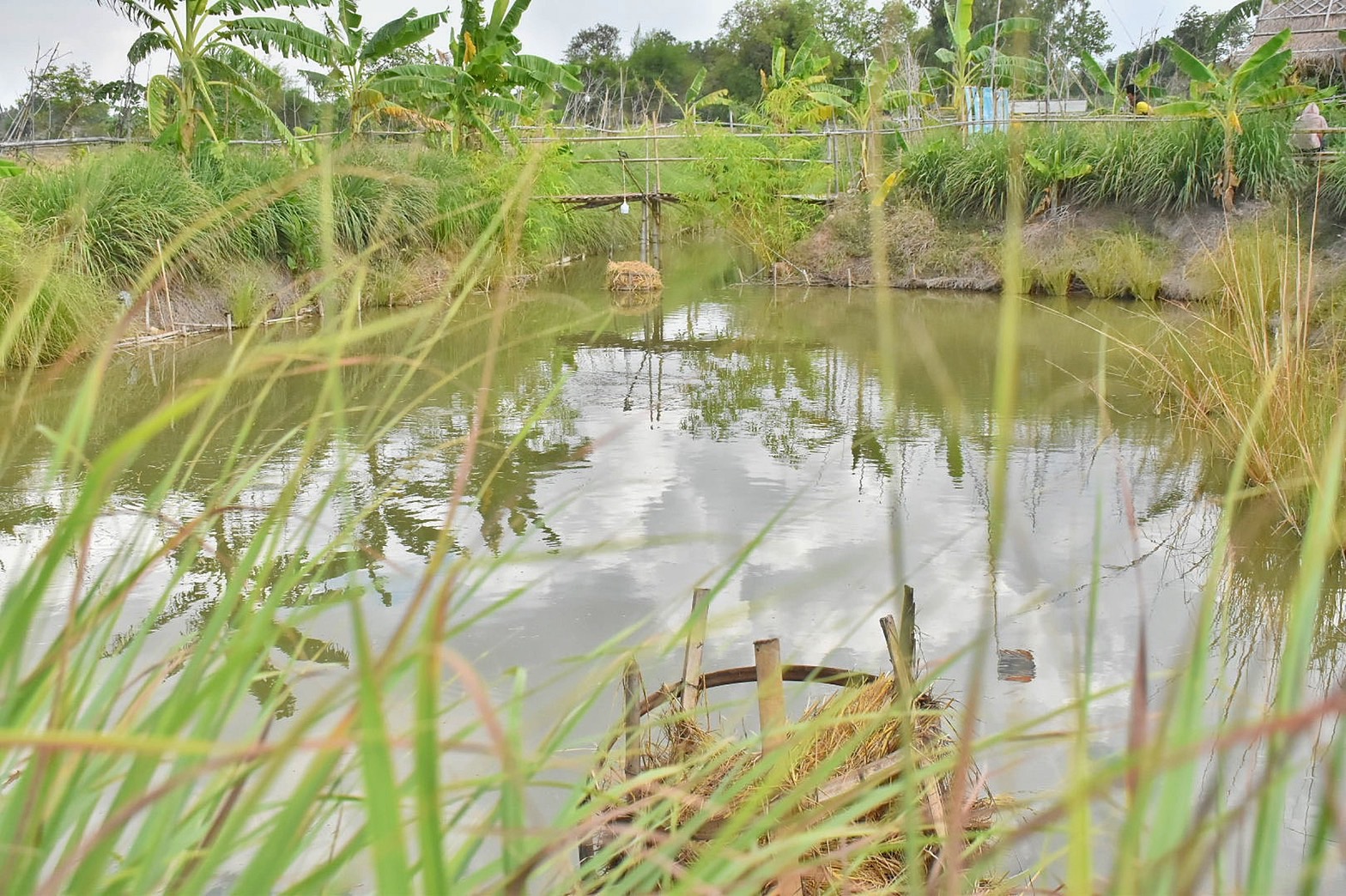 ผู้ว่าฯ มหาสารคาม นำทีมลงพื้นที่เยี่ยมให้กำลังใจ ครัวเรือนต้นแบบ โคก หนอง นา พัฒนาชุมชน อำเภอแกดำ จังหวัดมหาสารคาม