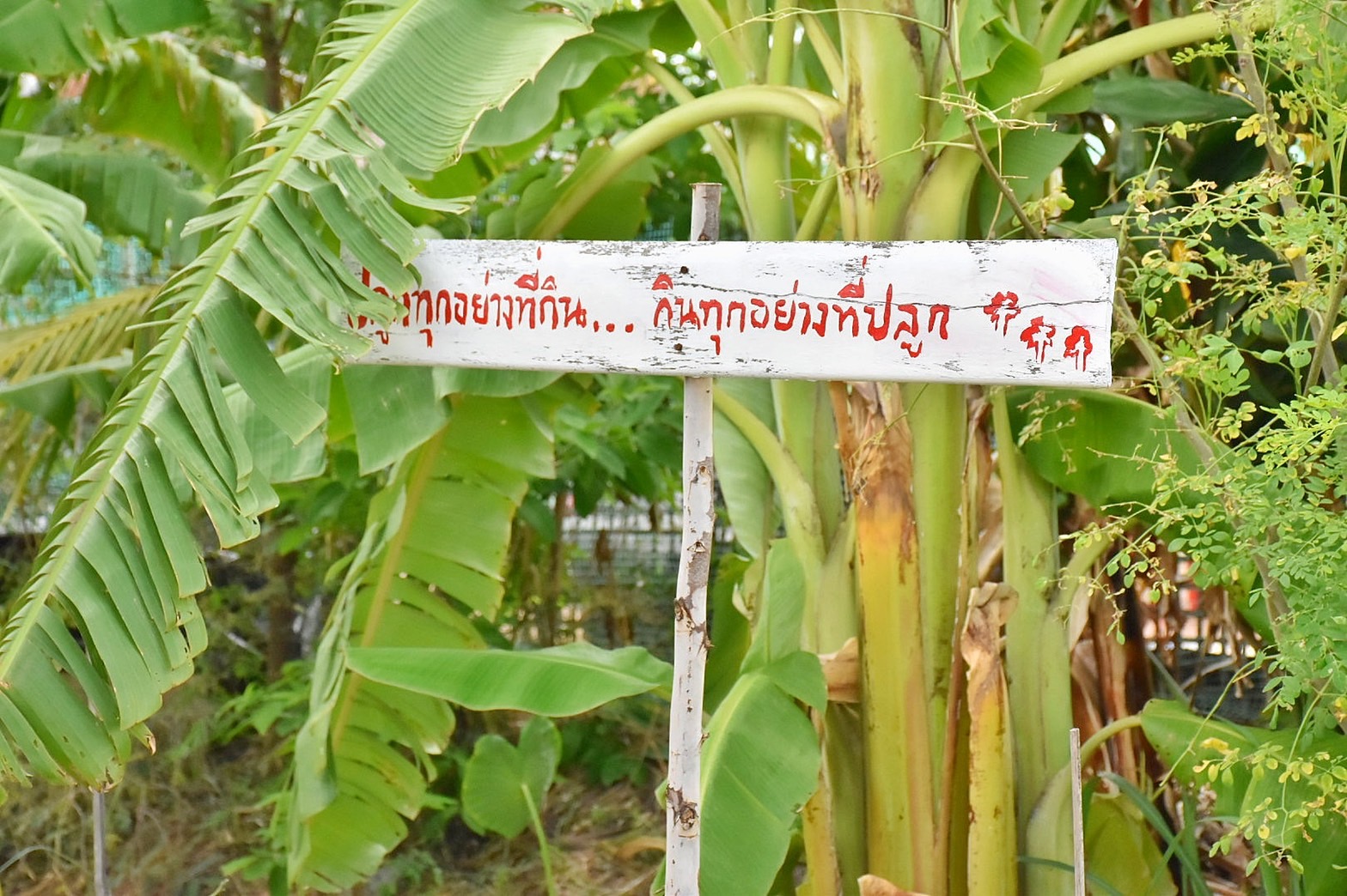 ผู้ว่าฯ มหาสารคาม นำทีมลงพื้นที่เยี่ยมให้กำลังใจ ครัวเรือนต้นแบบ โคก หนอง นา พัฒนาชุมชน อำเภอแกดำ จังหวัดมหาสารคาม