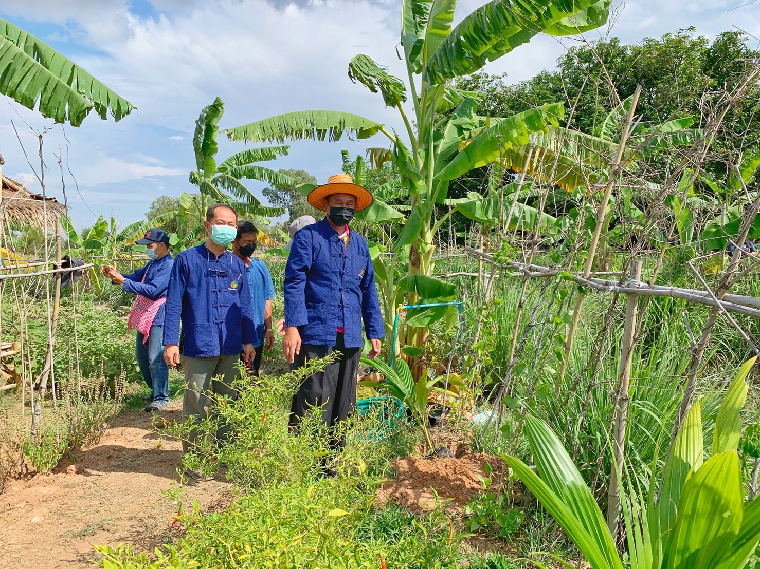 ผู้ว่าฯ มหาสารคาม นำทีมลงพื้นที่เยี่ยมให้กำลังใจ ครัวเรือนต้นแบบ โคก หนอง นา พัฒนาชุมชน อำเภอแกดำ จังหวัดมหาสารคาม