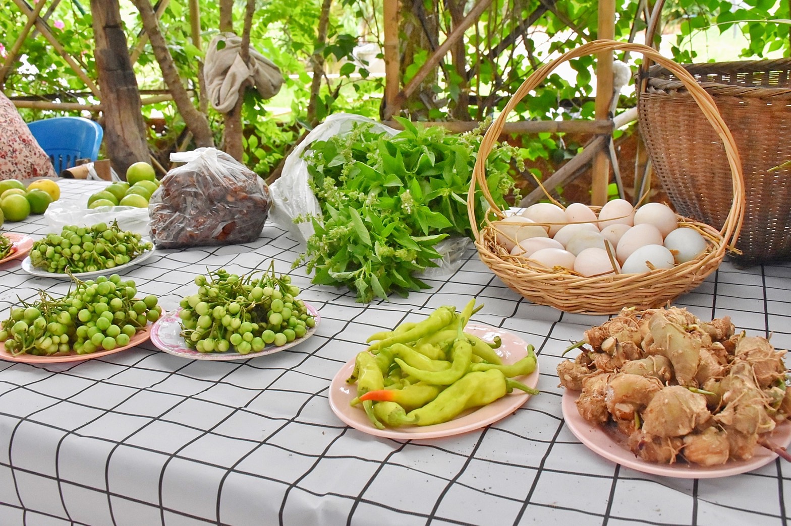 ศูนย์ผู้นำจิตอาสาพัฒนาชุมชนจังหวัดมหาสารคาม (ศูนย์เรียนรู้นวัตกรรมปลาบู่บ้านพลังปัญญา ต.หนองแสง อ.วาปีปทุม) เข้าร่วมกิจกรรมการประกวดผู้นำจิตอาสาพัฒนาชุมชนดีเด่น ระดับเขตตรวจราชการ