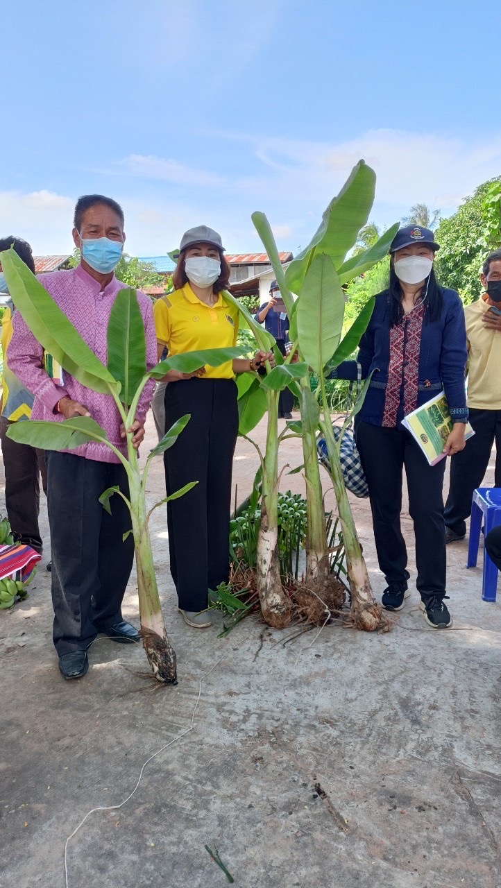 พช.มหาสารคาม ประกวดโครงการหมู่บ้านมั่นคงปลอดภัย ร่วมใจปลูกผัก น้อมนำแนวทางพระราชดำริของสมเด็จพระกนิษฐาธิราชเจ้ากรมสมเด็จพระเทพรัตนราชสุดาฯ สยามบรมราชกุมารีสร้างความมั่นคงทางอาหาร