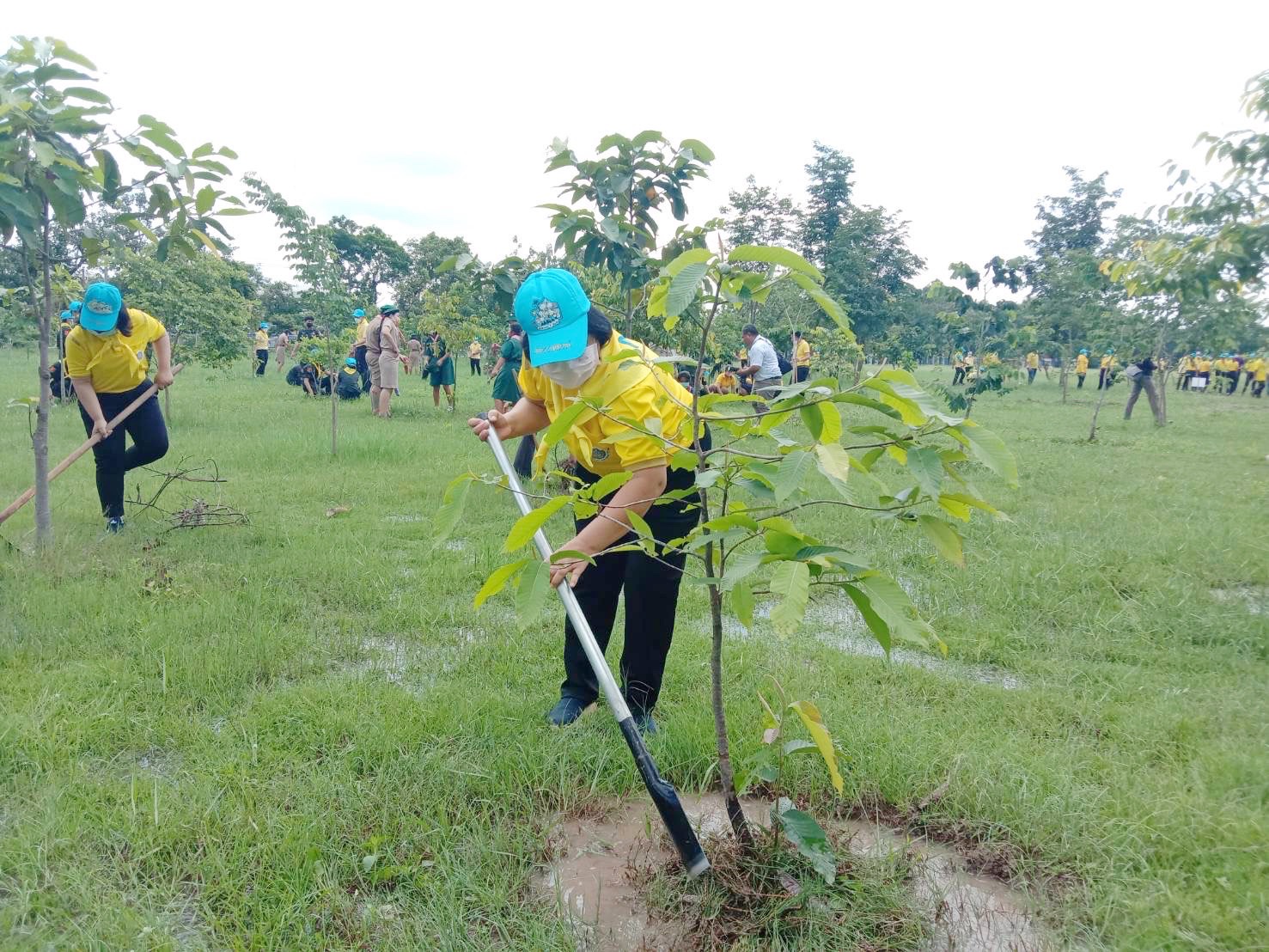 พช.มหาสารคาม ร่วมกิจกรรมจิตอาสาเฉลิมพระเกียรติสมเด็จพระนางเจ้าฯ พระบรมราชินี เนื่องในโอกาสวันเฉลิมพระชนมพรรษา 3 มิถุนายน 2565
