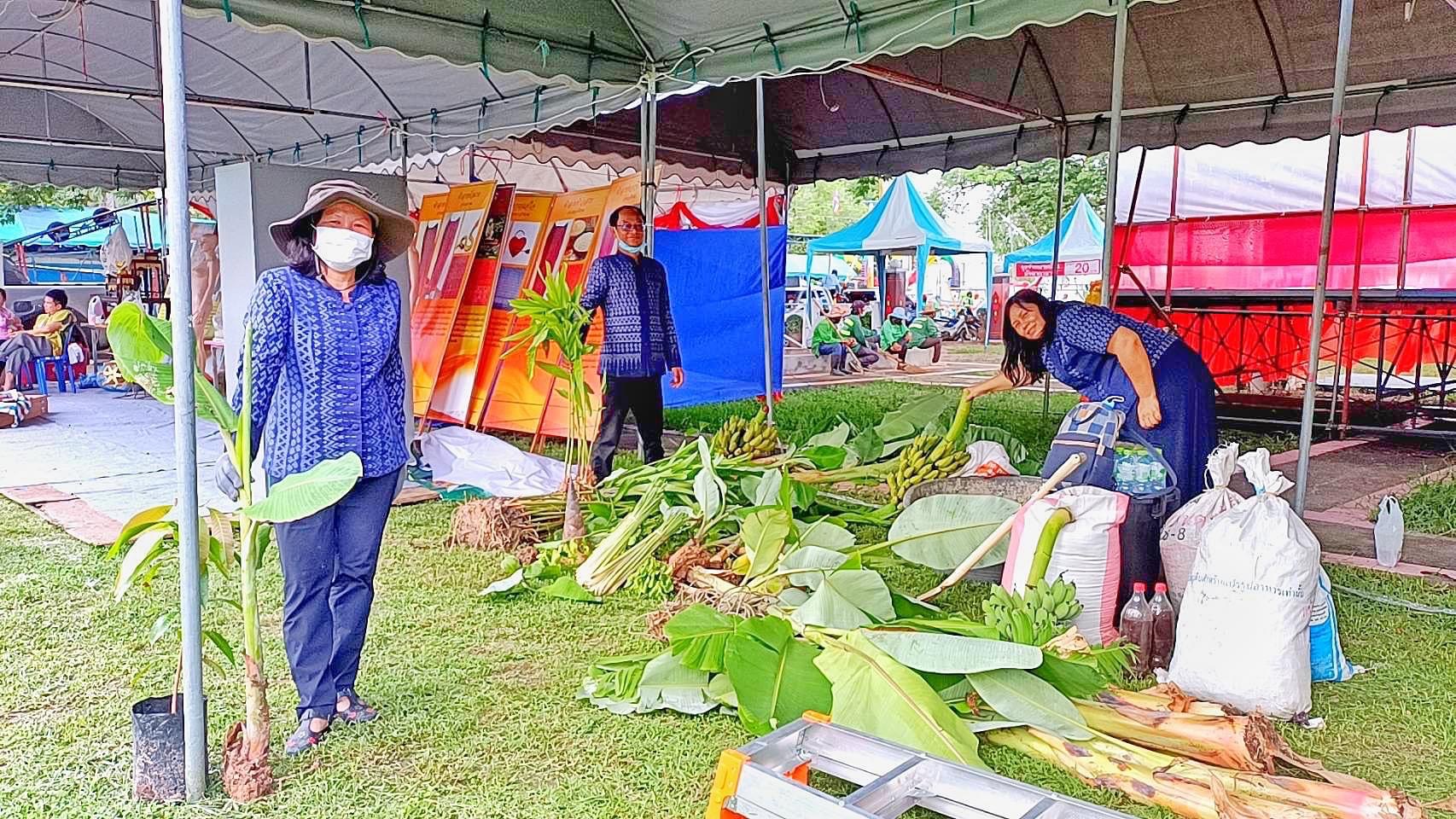 พช.มหาสารคาม ร่วมกับเครือข่ายการพัฒนา จัดเตรียมสถานที่จัดนิทรรศการงานพัฒนาชุมชน ในงานกาชาด จังหวัดมหาสารคาม