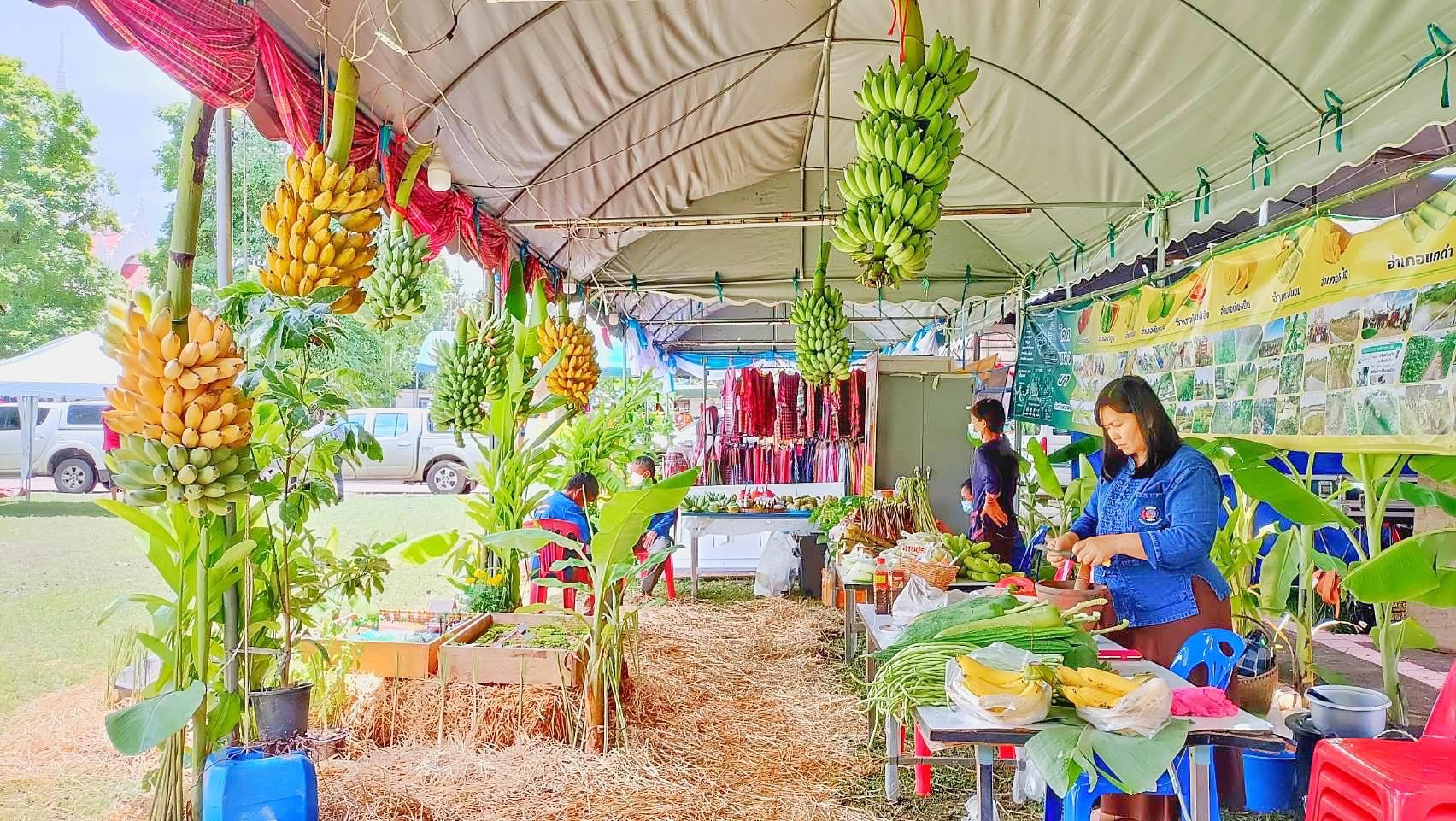 พช.มหาสารคาม ร่วมกับเครือข่ายการพัฒนา จัดเตรียมสถานที่จัดนิทรรศการงานพัฒนาชุมชน ในงานกาชาด จังหวัดมหาสารคาม