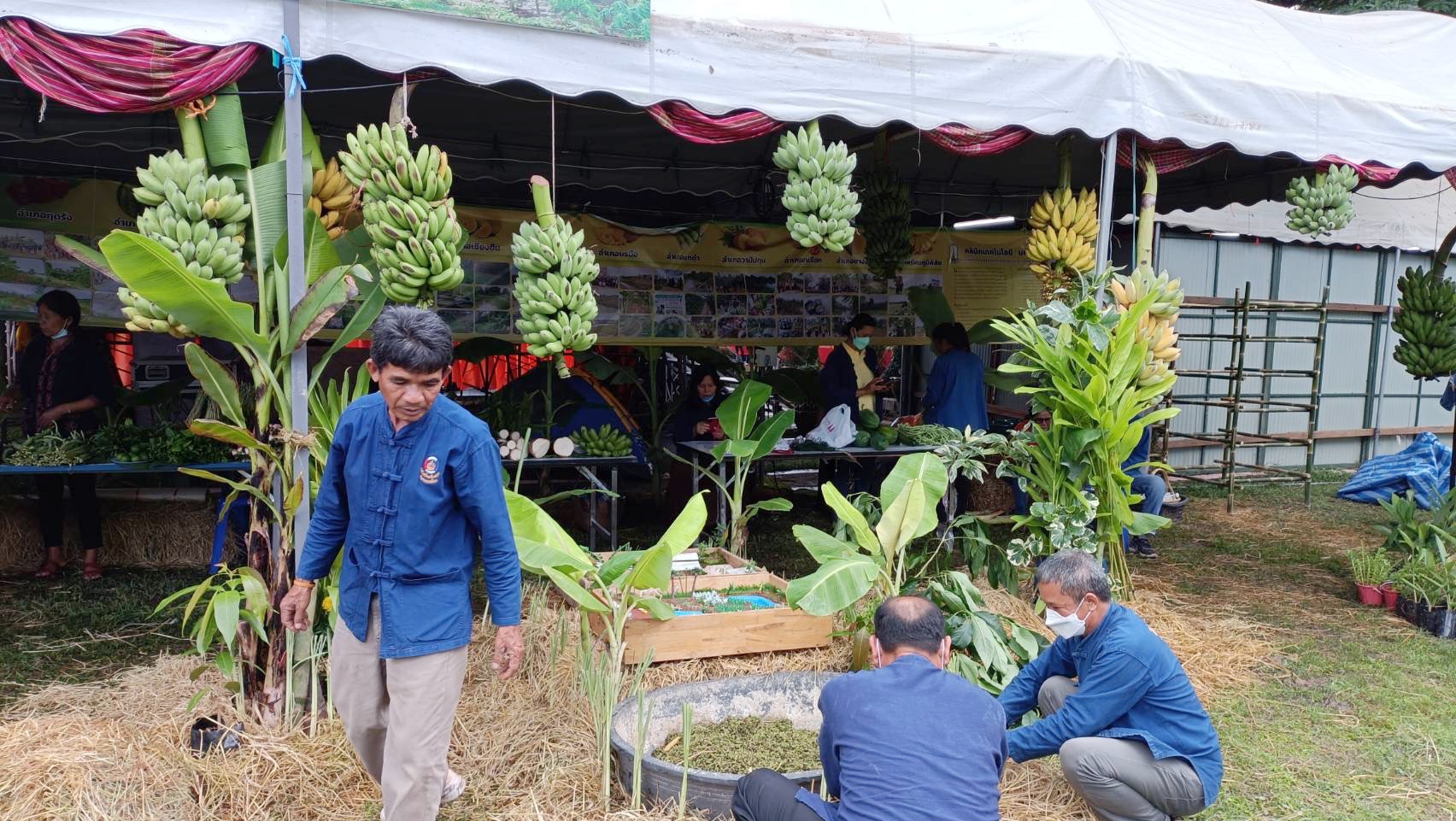 พช.มหาสารคาม ร่วมกับเครือข่ายการพัฒนา จัดเตรียมสถานที่จัดนิทรรศการงานพัฒนาชุมชน ในงานกาชาด จังหวัดมหาสารคาม