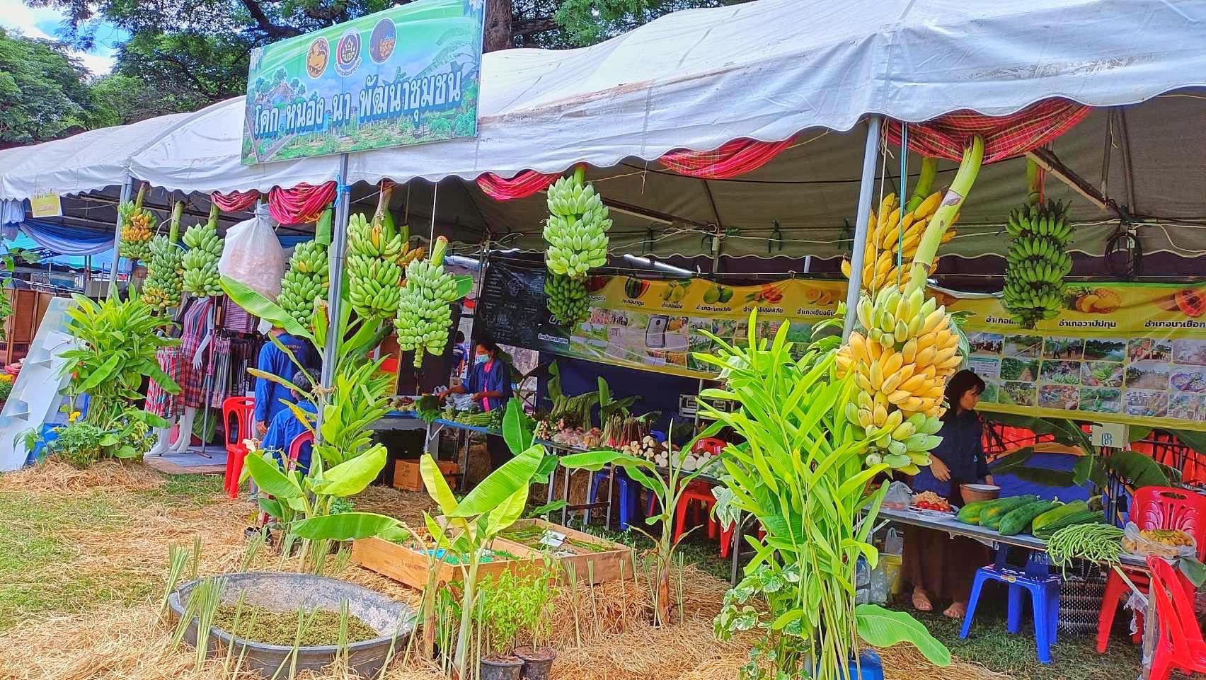 พช.มหาสารคาม ร่วมกับเครือข่ายการพัฒนา จัดเตรียมสถานที่จัดนิทรรศการงานพัฒนาชุมชน ในงานกาชาด จังหวัดมหาสารคาม