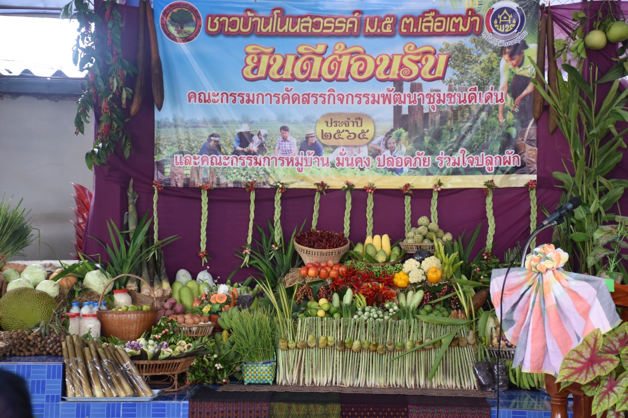 พช.มหาสารคาม ร่วมกับส่วนราชการ ภาคี เครือข่าย ดำเนินการประกวดหมู่บ้านมั่นคงปลอดภัย ร่วมใจปลูกผัก เพื่อคัดเลือกหมู่บ้านต้นแบบ ระดับจังหวัดมหาสารคาม ประจำปี 2565