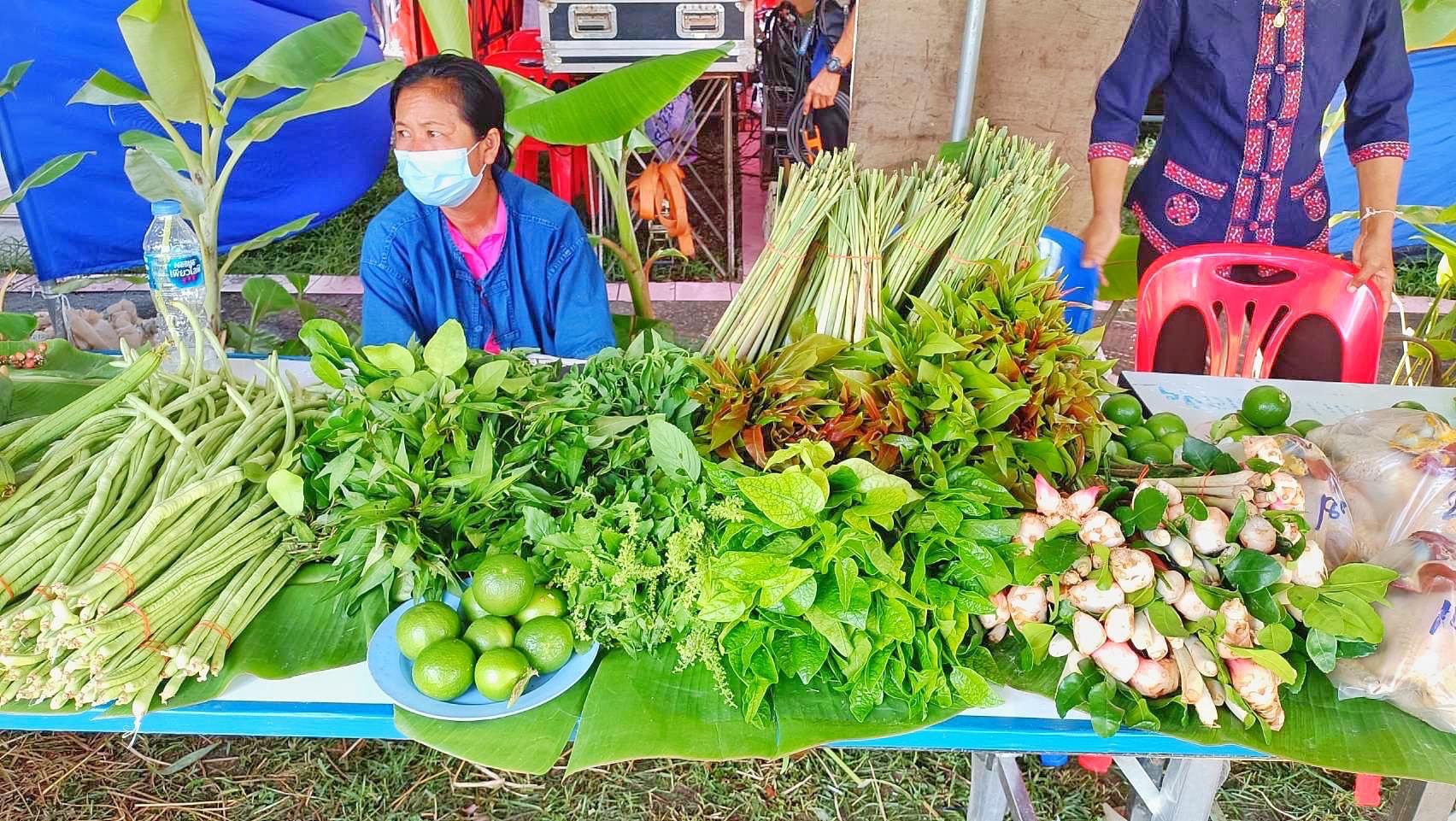 พช.มหาสารคาม ร่วมกับเครือข่ายการพัฒนา จัดเตรียมสถานที่จัดนิทรรศการงานพัฒนาชุมชน ในงานกาชาด จังหวัดมหาสารคาม