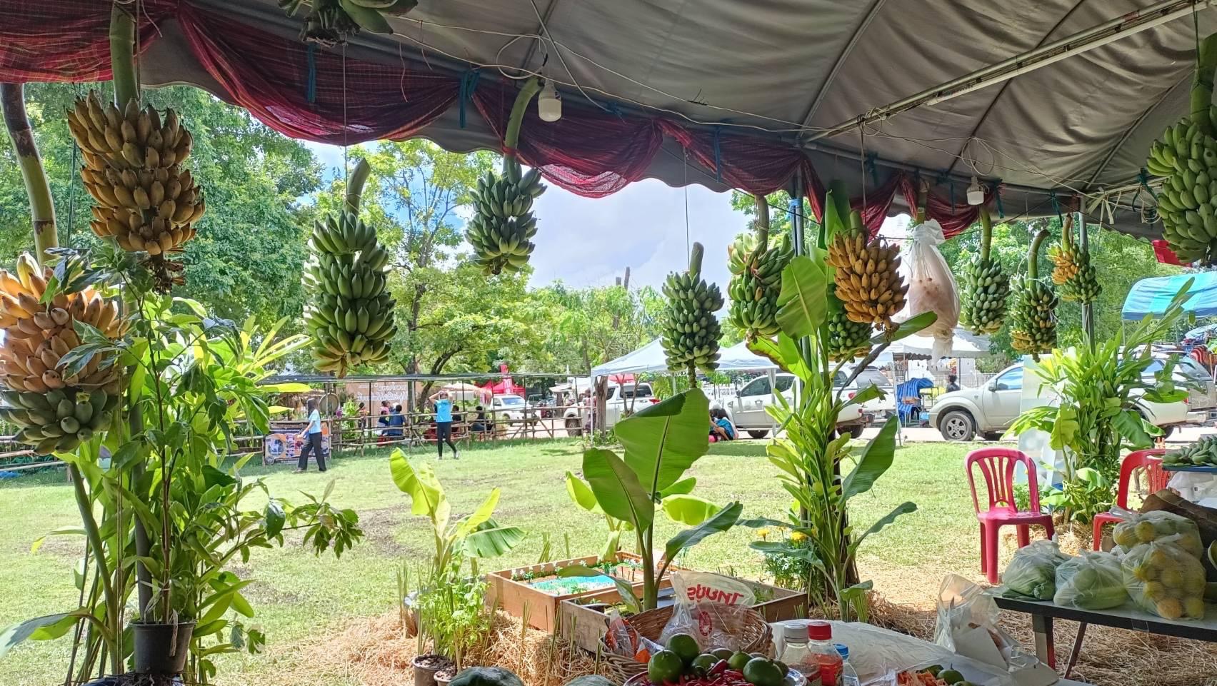 พช.มหาสารคาม ร่วมกับเครือข่ายการพัฒนา จัดเตรียมสถานที่จัดนิทรรศการงานพัฒนาชุมชน ในงานกาชาด จังหวัดมหาสารคาม