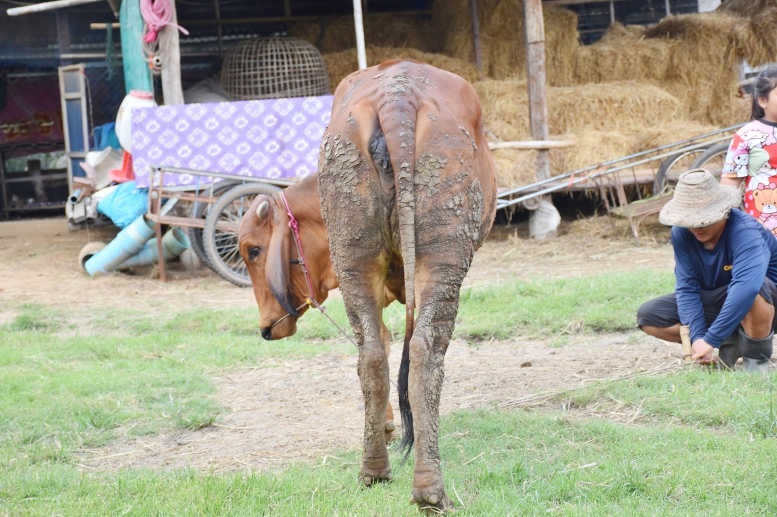 จังหวัดมหาสารคาม ผนึกกำลังส่วนราชการและภาคีพัฒนา ร่วมคัดสรรหมู่บ้านเศรษฐกิจพอเพียง “อยู่เย็น เป็นสุข” และตำบลเข้มแข็งตามหลักปรัชญาของเศรษฐกิจพอเพียง ดีเด่น ระดับจังหวัด ประจำปี 2565