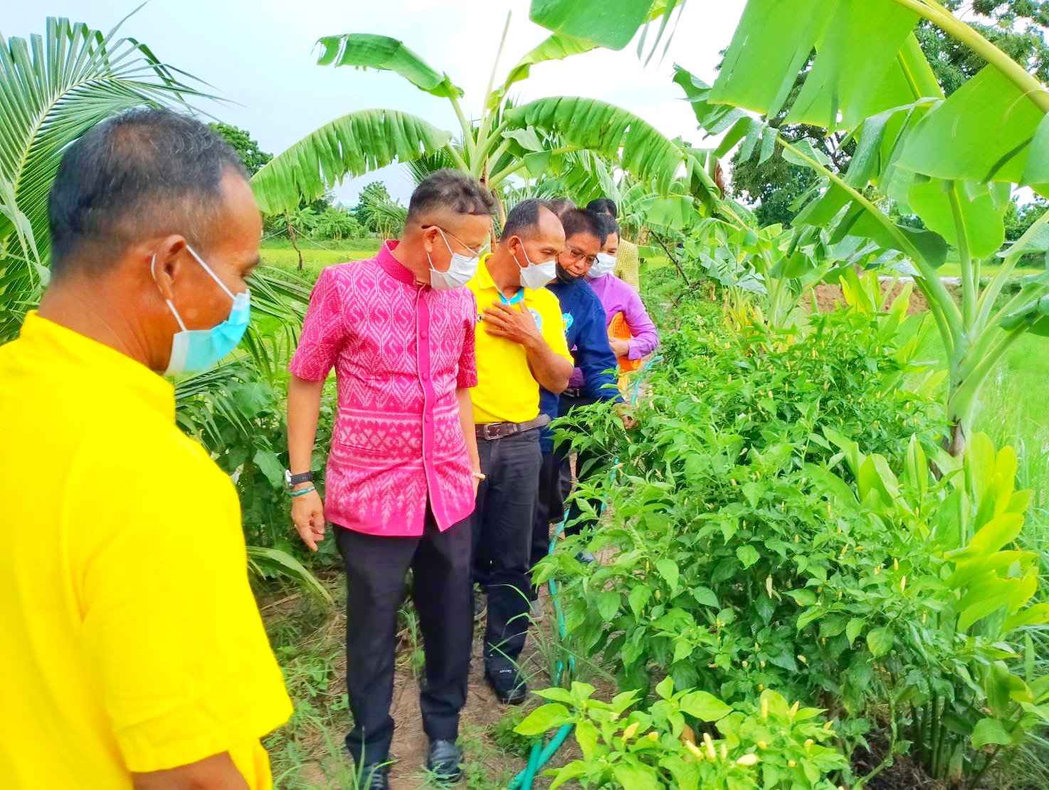 ผู้ตรวจราชการกรมการพัฒนาชุมชน ระดับเขตตรวจราชการที่ 12 ติดตามผลการดำเนินงานในไตรมาสที่ 3