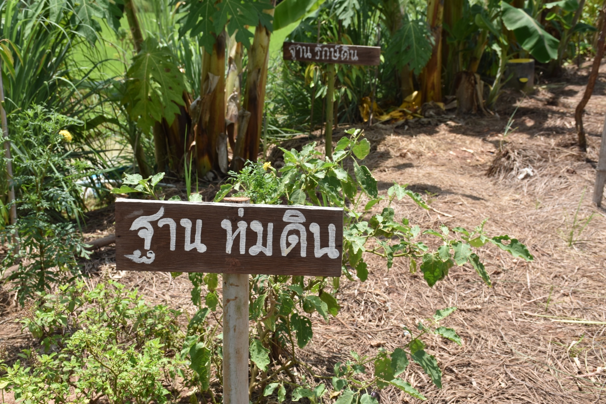 จังหวัดมหาสารคาม ผนึกกำลังส่วนราชการและภาคีพัฒนา ร่วมคัดสรรหมู่บ้านเศรษฐกิจพอเพียง “อยู่เย็น เป็นสุข” และตำบลเข้มแข็งตามหลักปรัชญาของเศรษฐกิจพอเพียง ดีเด่น ระดับจังหวัด ประจำปี 2565