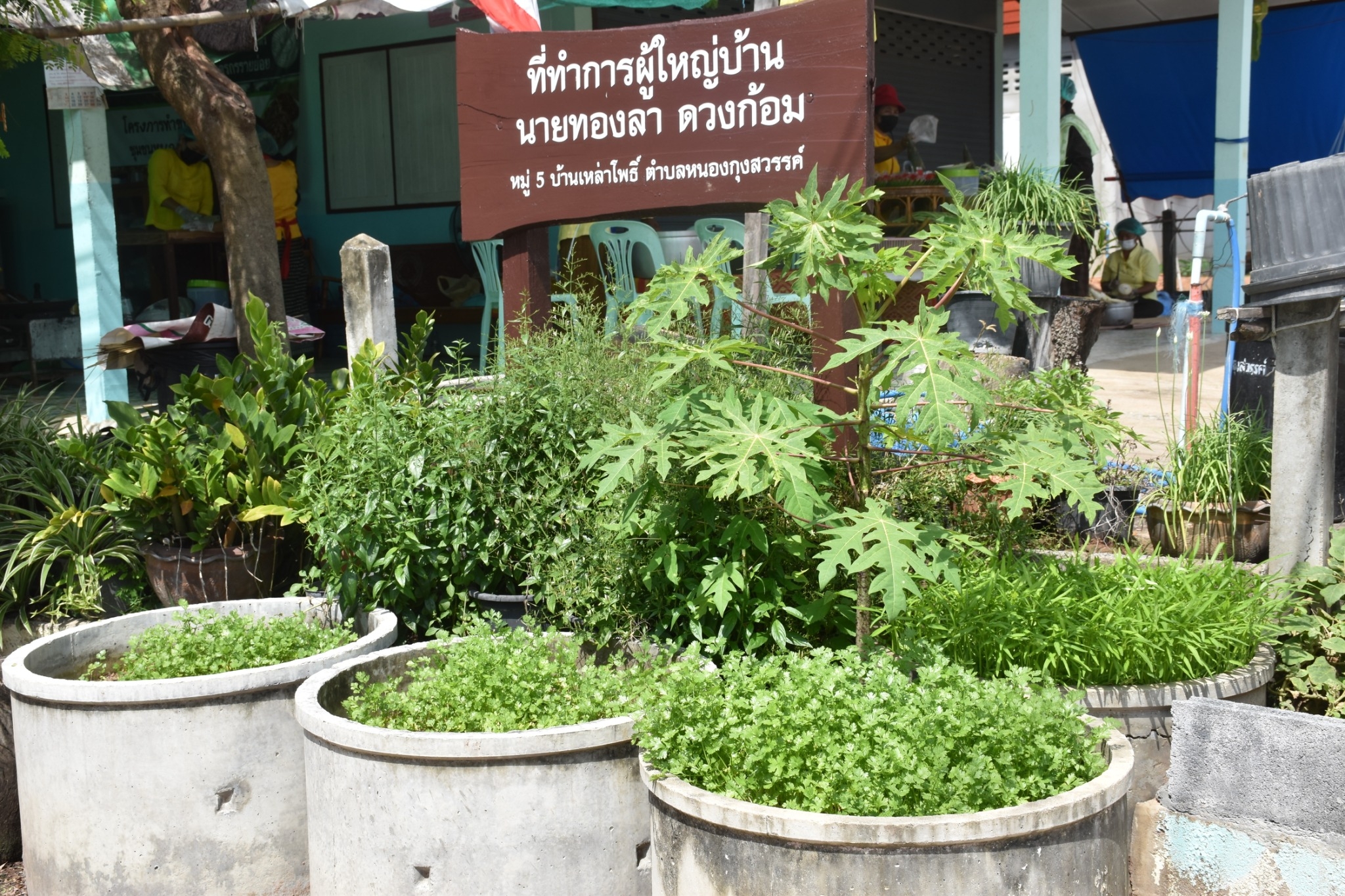 พช.มหาสารคาม ร่วมกับส่วนราชการ ภาคี เครือข่าย ดำเนินการประกวดหมู่บ้านมั่นคงปลอดภัย ร่วมใจปลูกผัก เพื่อคัดเลือกหมู่บ้านต้นแบบ ระดับจังหวัดมหาสารคาม ประจำปี 2565