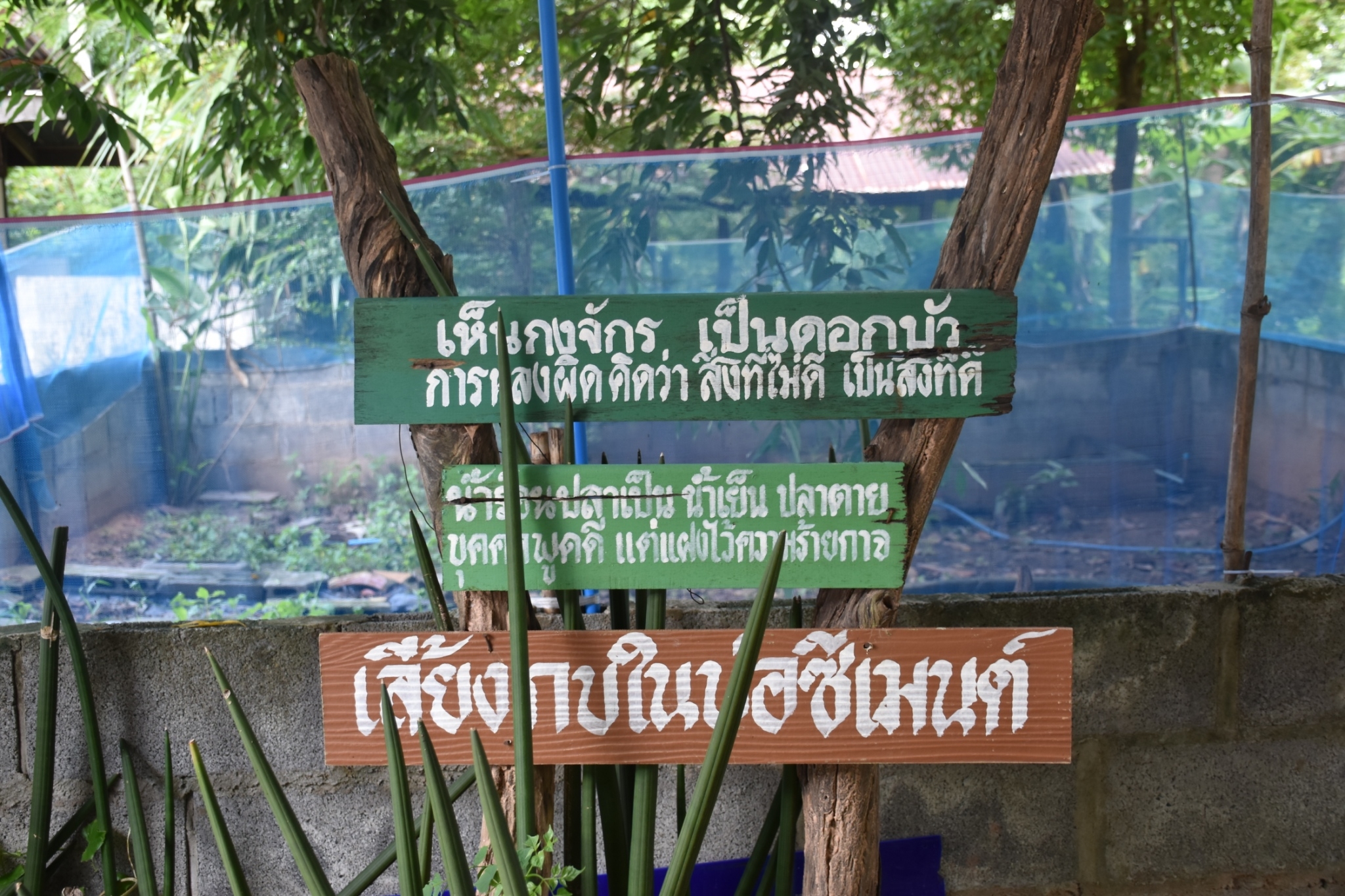 พช.มหาสารคาม ร่วมกับส่วนราชการ ภาคี เครือข่าย ดำเนินการประกวดหมู่บ้านมั่นคงปลอดภัย ร่วมใจปลูกผัก เพื่อคัดเลือกหมู่บ้านต้นแบบ ระดับจังหวัดมหาสารคาม ประจำปี 2565