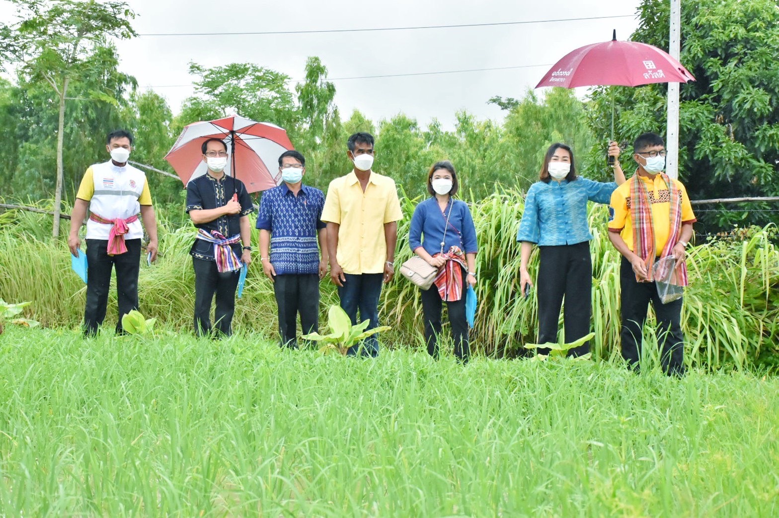 พช.มหาสารคาม ร่วมกับส่วนราชการ ภาคี เครือข่าย ดำเนินการประกวดหมู่บ้านมั่นคงปลอดภัย ร่วมใจปลูกผัก เพื่อคัดเลือกหมู่บ้านต้นแบบ ระดับจังหวัด ประจำปี 2565