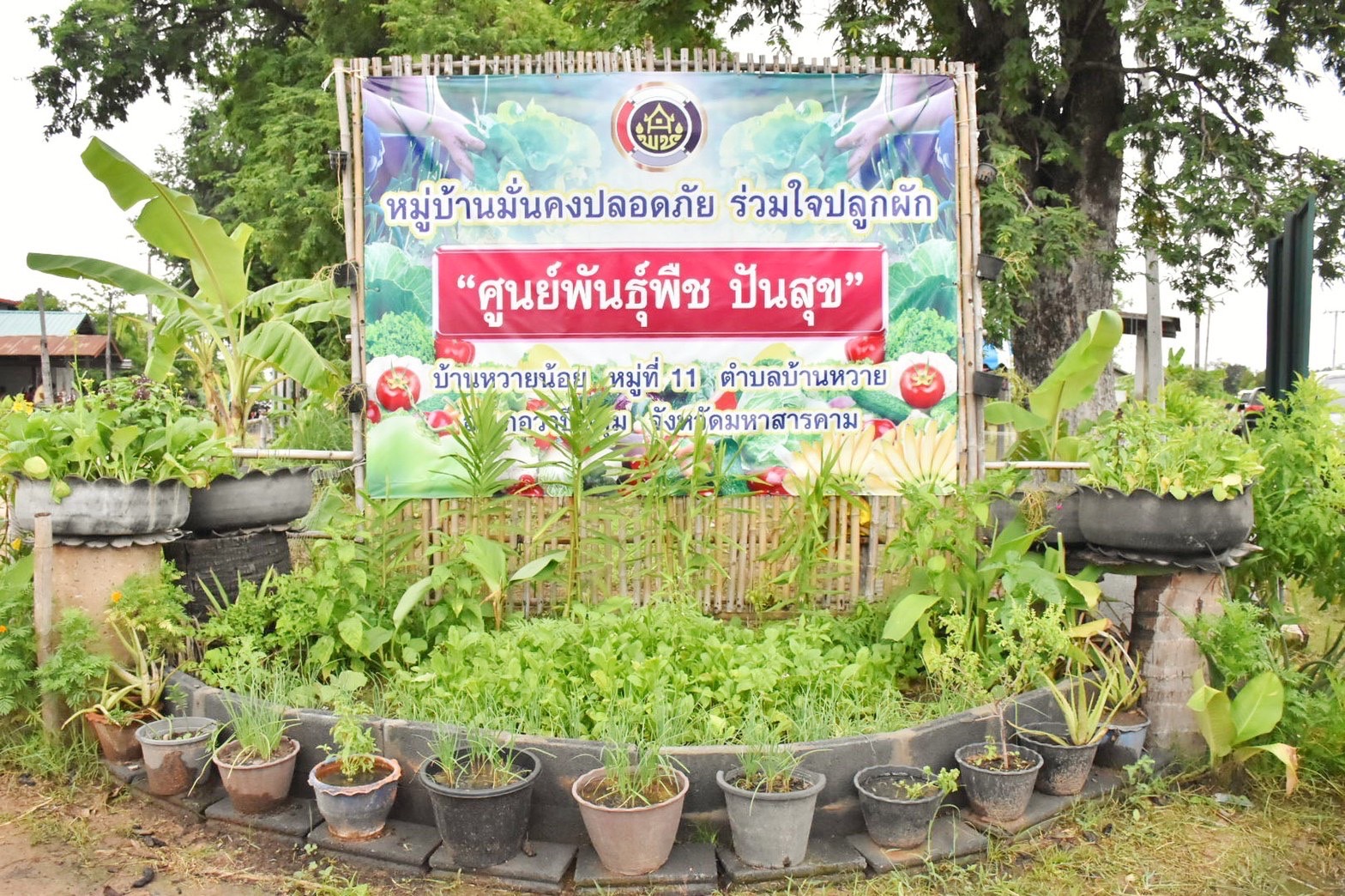 พช.มหาสารคาม ร่วมกับส่วนราชการ ภาคี เครือข่าย ดำเนินการประกวดหมู่บ้านมั่นคงปลอดภัย ร่วมใจปลูกผัก เพื่อคัดเลือกหมู่บ้านต้นแบบ ระดับจังหวัด ประจำปี 2565
