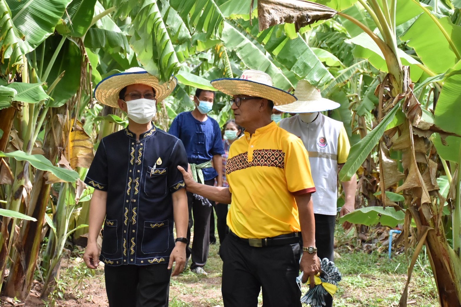 พช.มหาสารคาม ร่วมกับส่วนราชการ ภาคี เครือข่าย ดำเนินการประกวดหมู่บ้านมั่นคงปลอดภัย ร่วมใจปลูกผัก เพื่อคัดเลือกหมู่บ้านต้นแบบ ระดับจังหวัด ประจำปี 2565