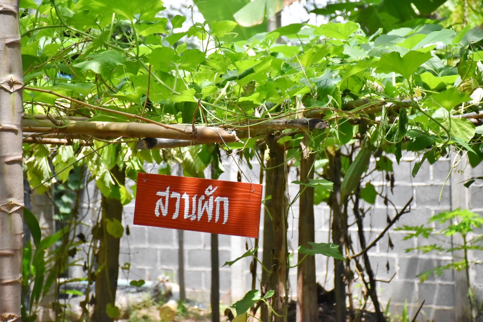 จังหวัดมหาสารคาม จัดกิจกรรมคัดสรรหมู่บ้านเศรษฐกิจพอเพียง “อยู่เย็น เป็นสุข” ดีเด่น ระดับจังหวัด ประจำปี 2565