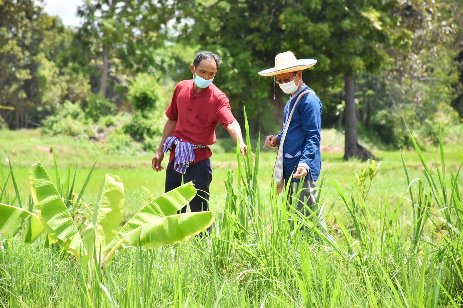 จังหวัดมหาสารคาม จัดกิจกรรมคัดสรรหมู่บ้านเศรษฐกิจพอเพียง “อยู่เย็น เป็นสุข” ดีเด่น ระดับจังหวัด ประจำปี 2565