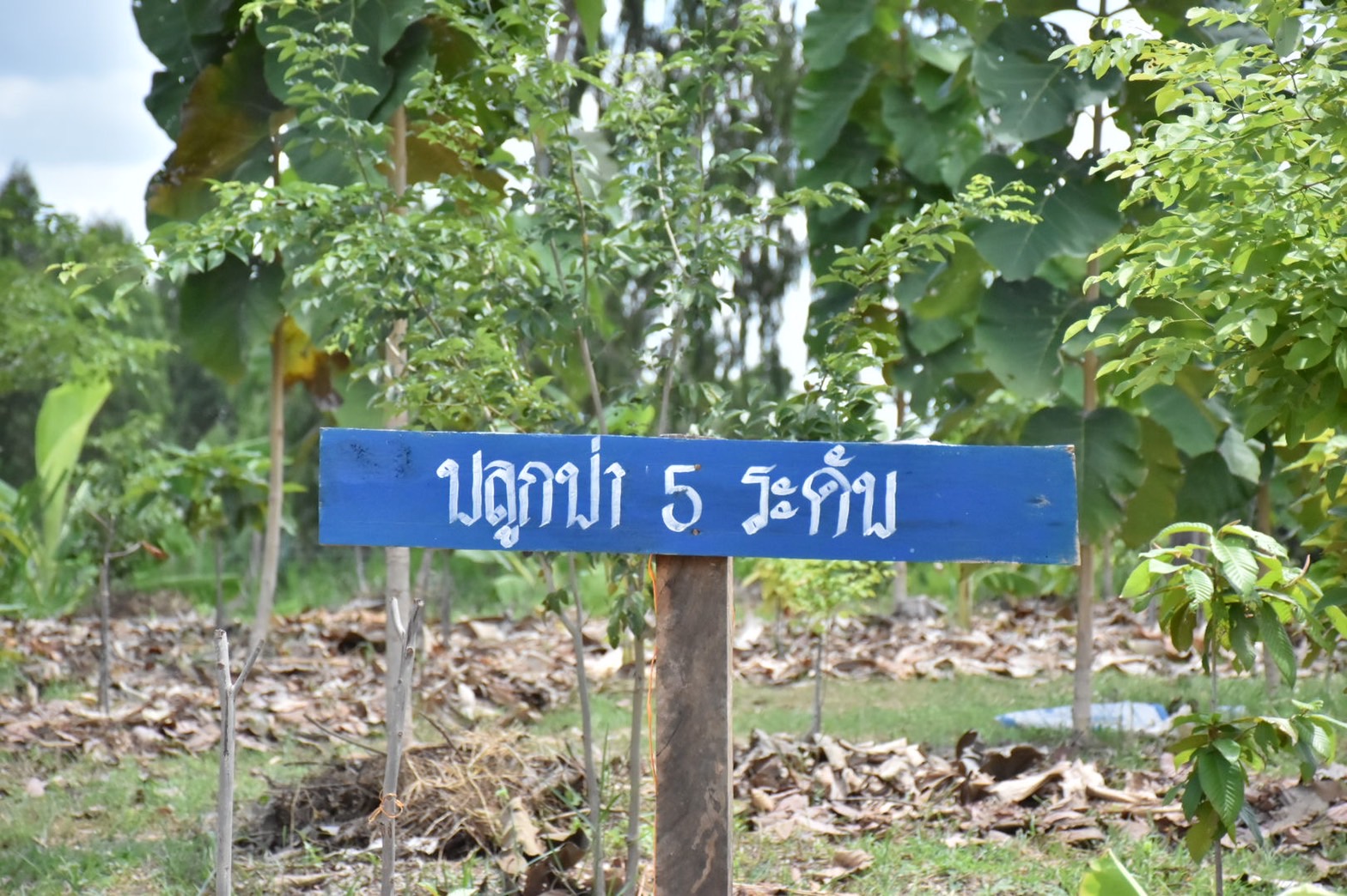 จังหวัดมหาสารคาม จัดกิจกรรมคัดสรรหมู่บ้านเศรษฐกิจพอเพียง “อยู่เย็น เป็นสุข” ดีเด่น ระดับจังหวัด ประจำปี 2565