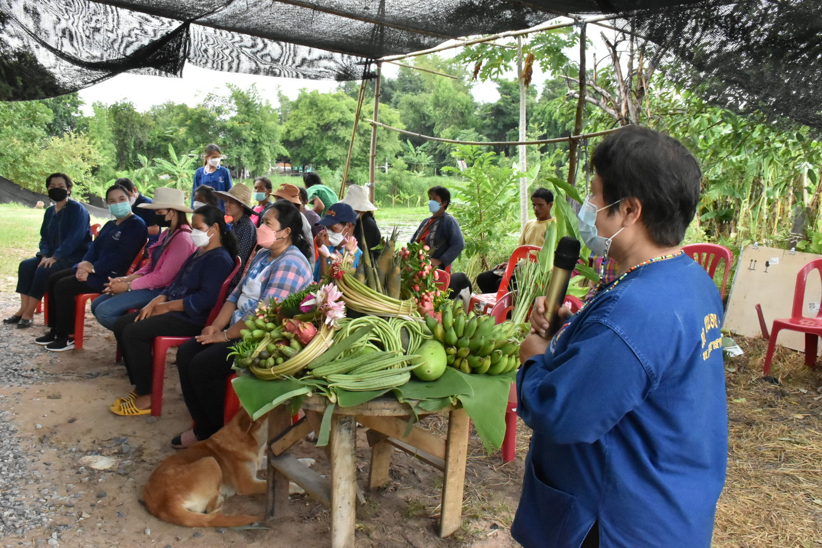 ผู้ตรวจราชการกรมการพัฒนาชุมชน ปลื้ม โคก หนอง นาพช.มหาสารคาม เห็นผล สร้างความมั่นคงทางอาหาร