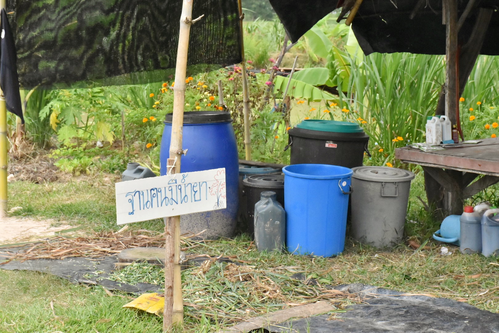 ผู้ตรวจราชการกรมการพัฒนาชุมชน ปลื้ม โคก หนอง นาพช.มหาสารคาม เห็นผล สร้างความมั่นคงทางอาหาร