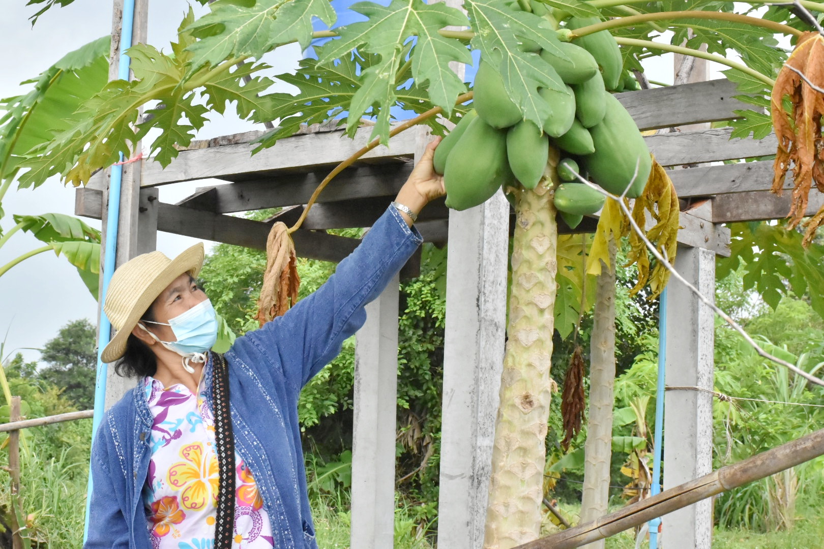 ผู้ตรวจราชการกรมการพัฒนาชุมชน ปลื้ม โคก หนอง นาพช.มหาสารคาม เห็นผล สร้างความมั่นคงทางอาหาร