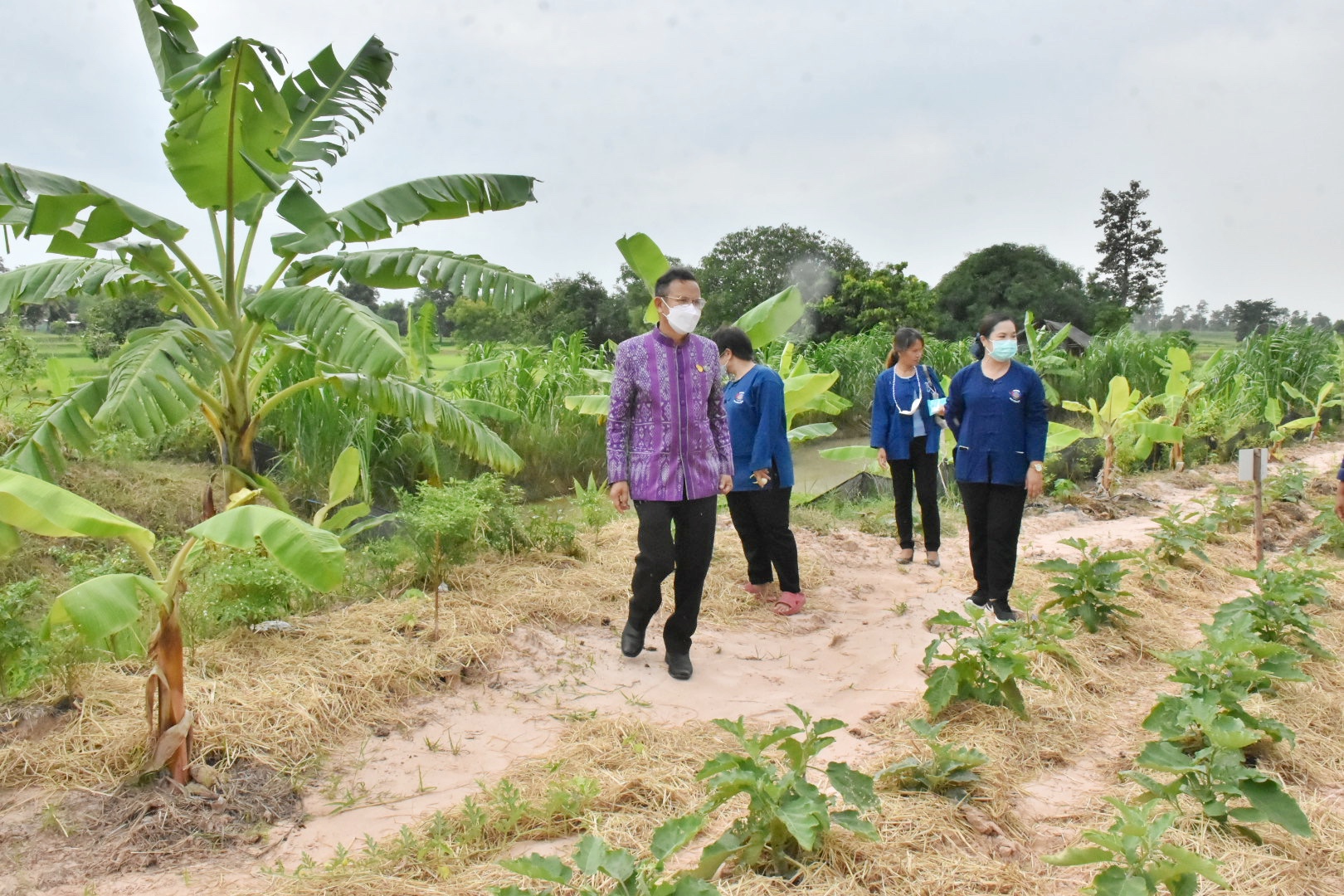 ผู้ตรวจราชการกรมการพัฒนาชุมชน ปลื้ม โคก หนอง นาพช.มหาสารคาม เห็นผล สร้างความมั่นคงทางอาหาร