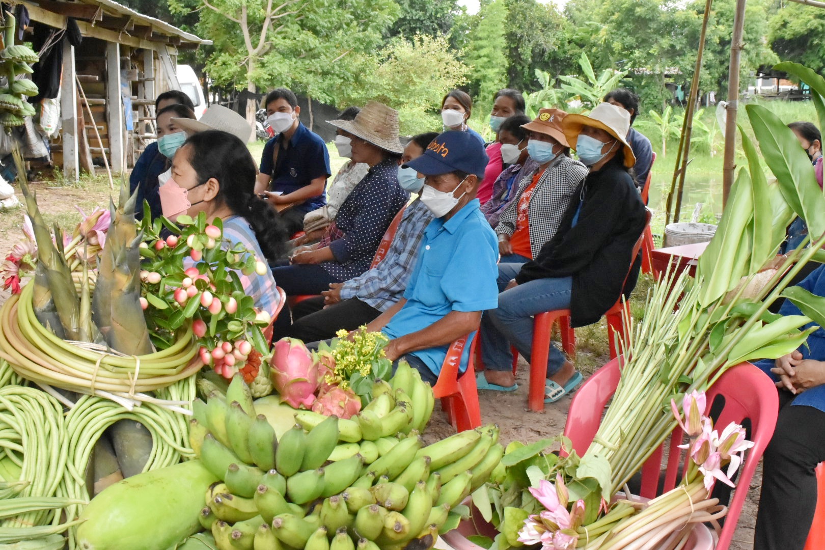 ผู้ตรวจราชการกรมการพัฒนาชุมชน ปลื้ม โคก หนอง นาพช.มหาสารคาม เห็นผล สร้างความมั่นคงทางอาหาร