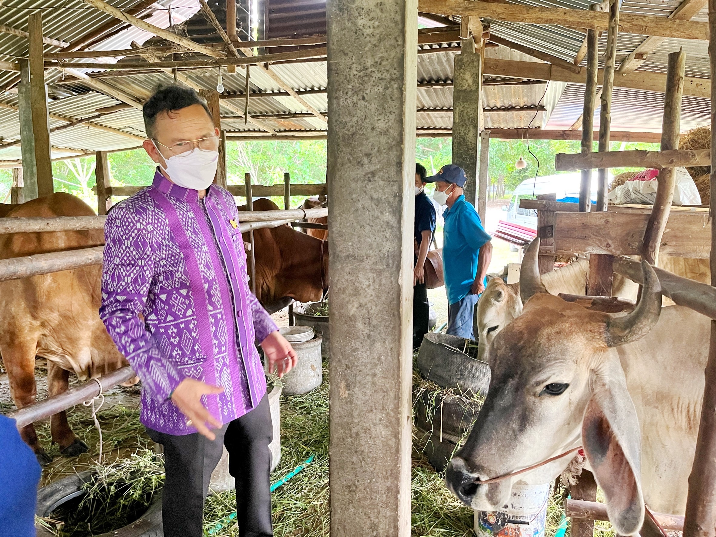 ผู้ตรวจราชการกรมการพัฒนาชุมชน ปลื้ม โคก หนอง นาพช.มหาสารคาม เห็นผล สร้างความมั่นคงทางอาหาร