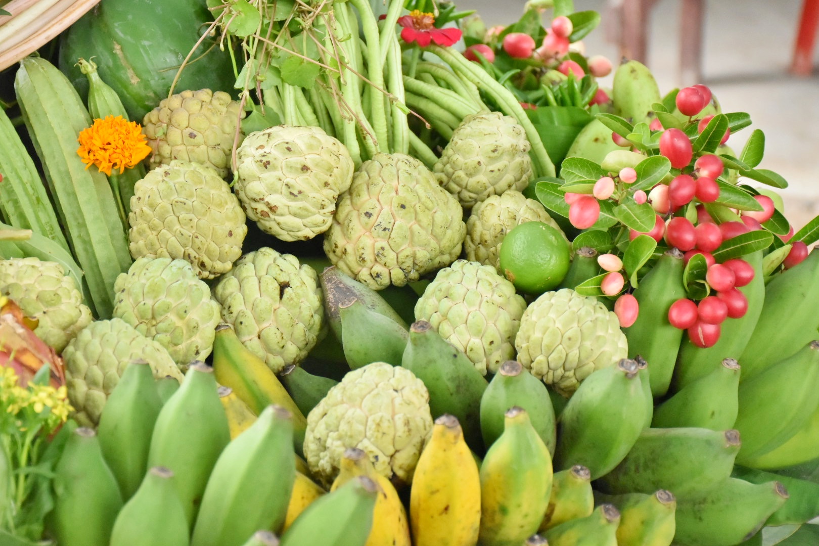 ผู้ตรวจราชการกรมการพัฒนาชุมชน ปลื้ม โคก หนอง นาพช.มหาสารคาม เห็นผล สร้างความมั่นคงทางอาหาร