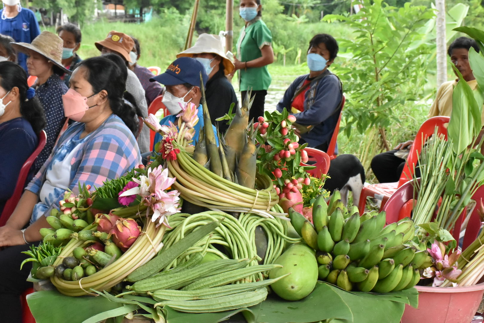 ผู้ตรวจราชการกรมการพัฒนาชุมชน ปลื้ม โคก หนอง นาพช.มหาสารคาม เห็นผล สร้างความมั่นคงทางอาหาร