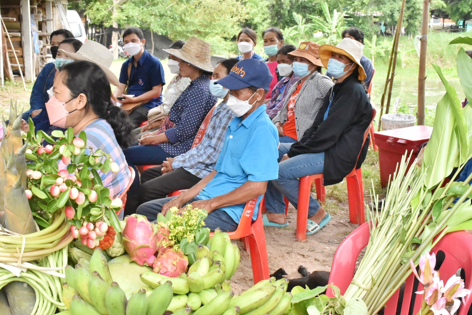 ผู้ตรวจราชการกรมการพัฒนาชุมชน ปลื้ม โคก หนอง นาพช.มหาสารคาม เห็นผล สร้างความมั่นคงทางอาหาร