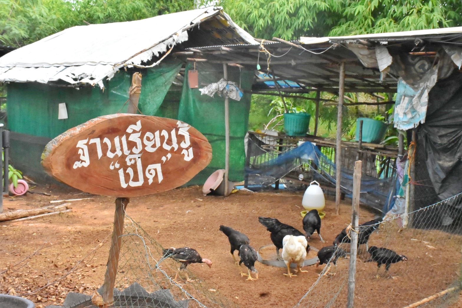 นายกิติพล เวชกุล ผู้ตรวจราชการกรมการพัฒนาชุมชน ลงพื้นที่เยี่ยมศูนย์จิตอาสาพัฒนาชุมชน วัดโพธิ์ศรีบ้านลาด ตำบลศรีสุข อำเภอกันทรวิชัย จังหวัดมหาสารคาม