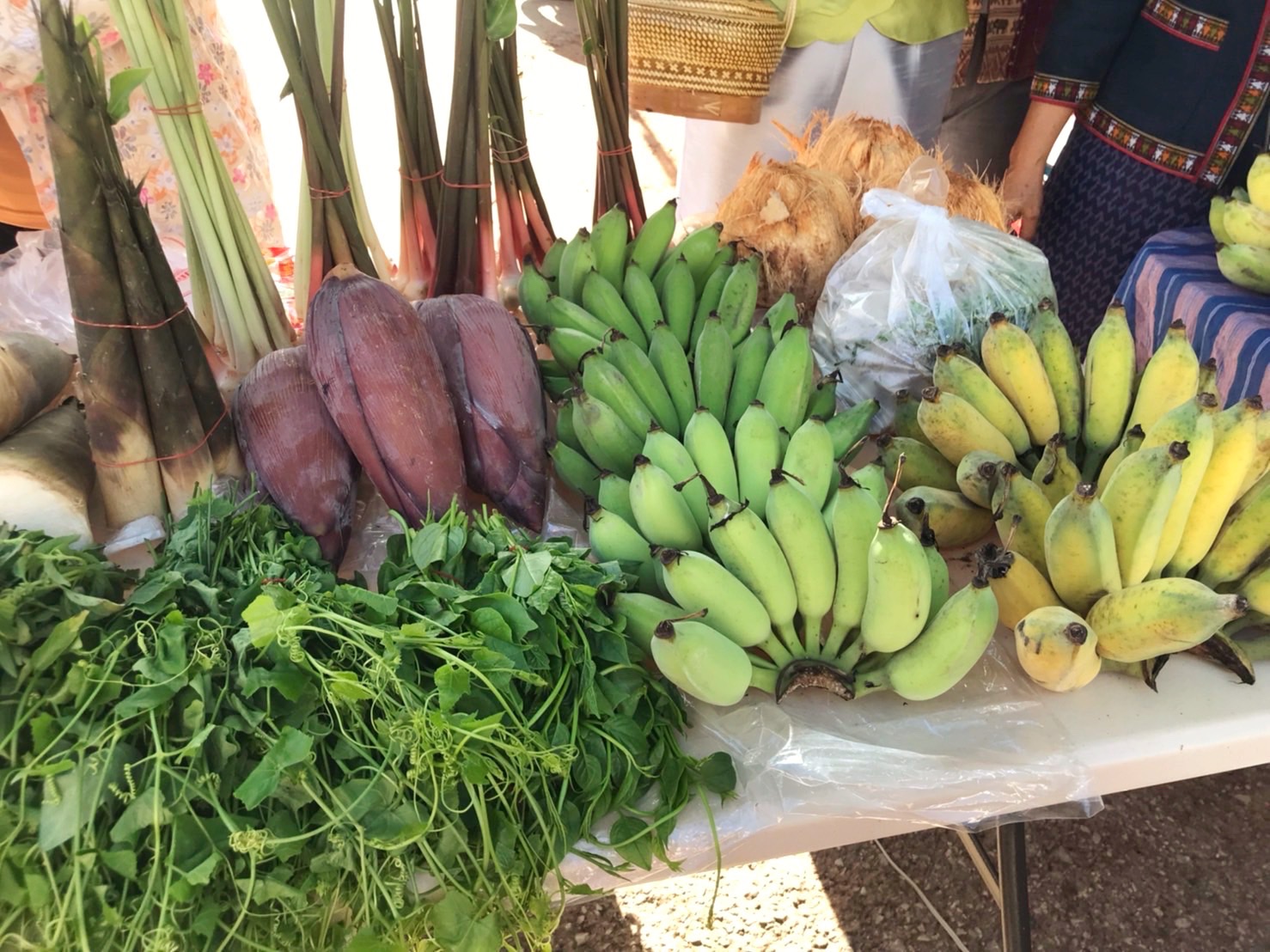 พช.มหาสารคาม ร่วมกิจกรรมเปิด”ตลาดต้องชมแห่งใหม่ของจังหวัดมหาสารคาม” ณ ตลาดถนนคนเดินออนซอนกันทรวิชัย อำเภอกันทรวิชัย จังหวัดมหาสารคาม