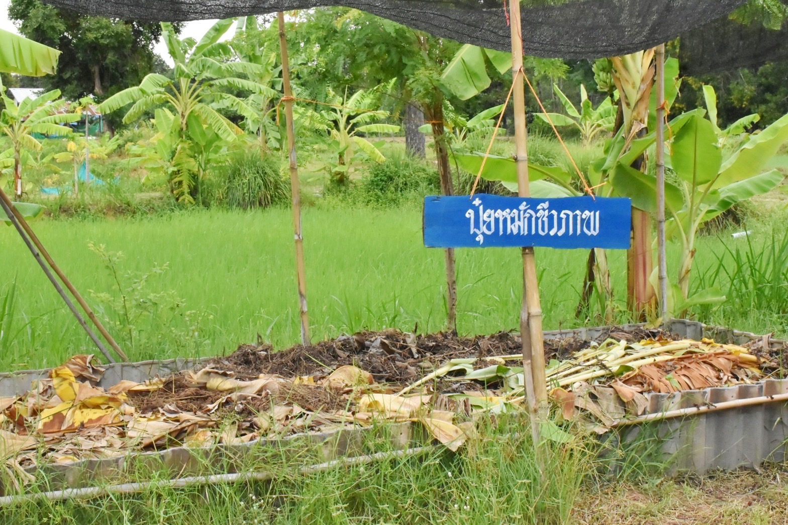 นายวสันต์ ชิงชนะ ผู้ตรวจราชการกรมการพัฒนาชุมชน ลงพื้นที่ติดตามสนับสนุนส่งเสริมการขับเคลื่อนงานพัฒนาชุมชน อำเภอยางสีสุราช จังหวัดมหาสารคาม