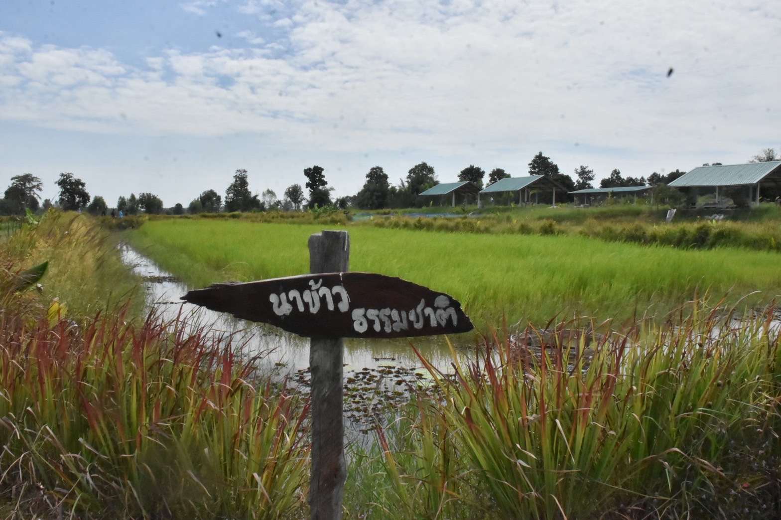 ผู้ตรวจราชการกรมการพัฒนาชุมชน ลงพื้นติดตามให้กำลังใจ ศูนย์เรียนรู้ชุมชนต้นแบบ การพัฒนาคุณภาพชีวิต ระดับตำบล (CLM) จังหวัดมหาสารคาม
