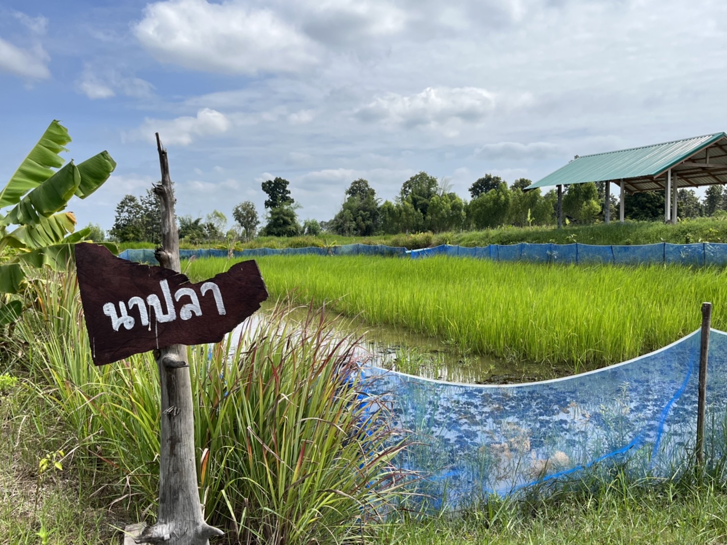 ผู้ตรวจราชการกรมการพัฒนาชุมชน ลงพื้นติดตามให้กำลังใจ ศูนย์เรียนรู้ชุมชนต้นแบบ การพัฒนาคุณภาพชีวิต ระดับตำบล (CLM) จังหวัดมหาสารคาม