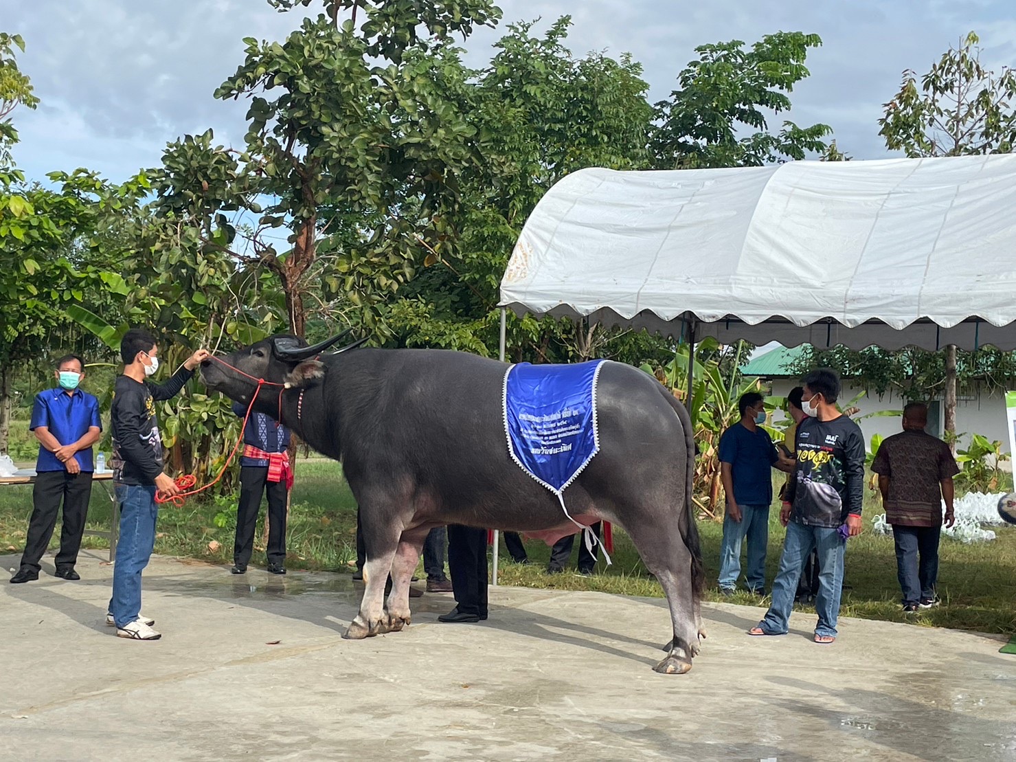 พช.มหาสารคาม ร่วมเปิดงานมรดกภูมิปัญญา พัฒนาสู่ความยั่งยืน ฟื้นฟูเศรษฐกิจ ร่วมกับเครือข่ายขนสินค้า OTOP จัดแสดงและจำหน่าย