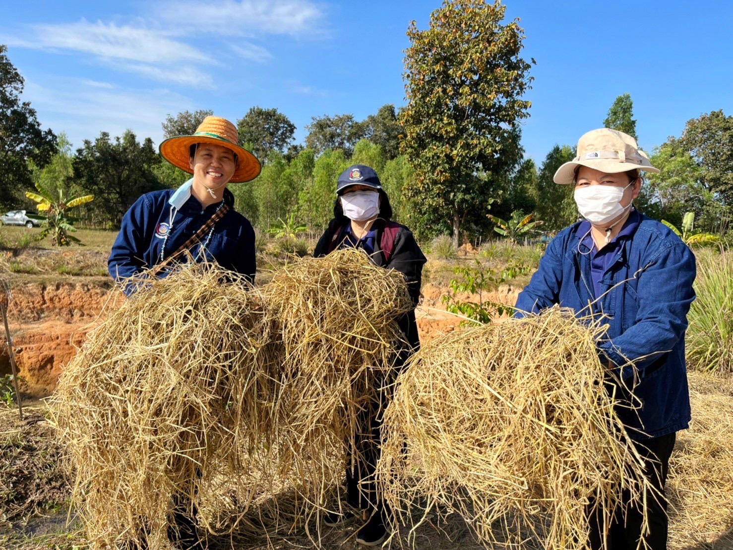พช.มหาสารคาม ผนึกกำลังเครือข่าย “โคก หนอง นา พัฒนาชุมชน” จังหวัดมหาสารคาม จัดกิจกรรม “เอามื้อสามัคคี” แปลง CLM ศูนย์เรียนรู้ชุมชนต้นแบบการพัฒนาคุณภาพชีวิต โคก หนอง นา พัฒนาชุมชน ตำบลหนองเม็ก อำเภอนาเชือก จังหวัดมหาสารคาม