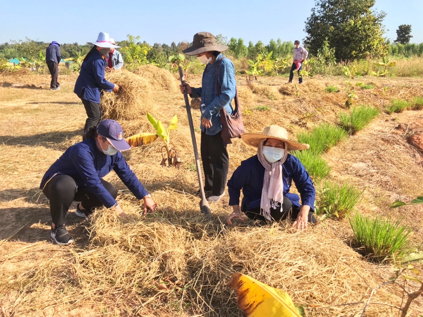 พช.มหาสารคาม ผนึกกำลังเครือข่าย “โคก หนอง นา พัฒนาชุมชน” จังหวัดมหาสารคาม จัดกิจกรรม “เอามื้อสามัคคี” แปลง CLM ศูนย์เรียนรู้ชุมชนต้นแบบการพัฒนาคุณภาพชีวิต โคก หนอง นา พัฒนาชุมชน ตำบลหนองเม็ก อำเภอนาเชือก จังหวัดมหาสารคาม