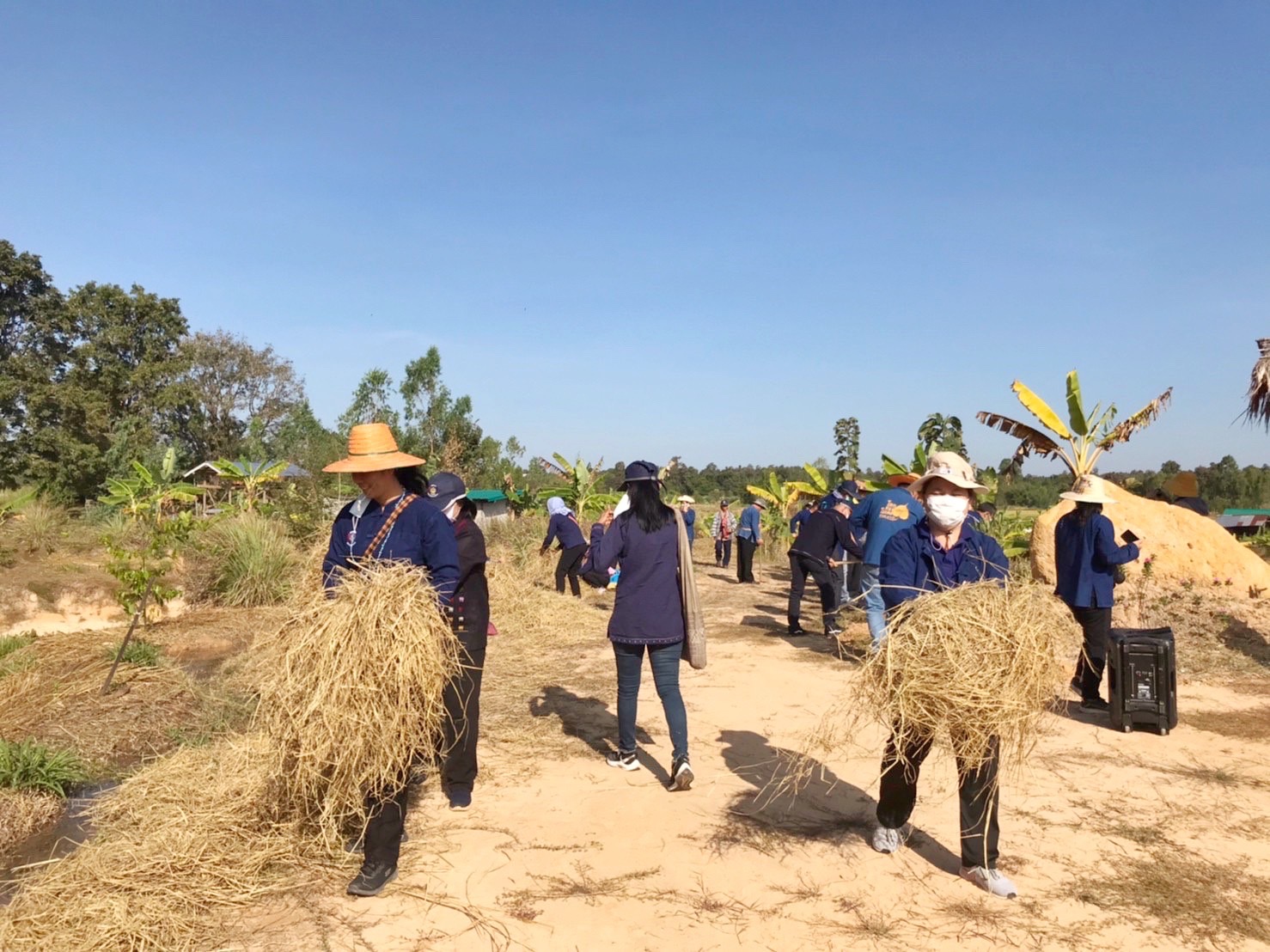 พช.มหาสารคาม ผนึกกำลังเครือข่าย “โคก หนอง นา พัฒนาชุมชน” จังหวัดมหาสารคาม จัดกิจกรรม “เอามื้อสามัคคี” แปลง CLM ศูนย์เรียนรู้ชุมชนต้นแบบการพัฒนาคุณภาพชีวิต โคก หนอง นา พัฒนาชุมชน ตำบลหนองเม็ก อำเภอนาเชือก จังหวัดมหาสารคาม