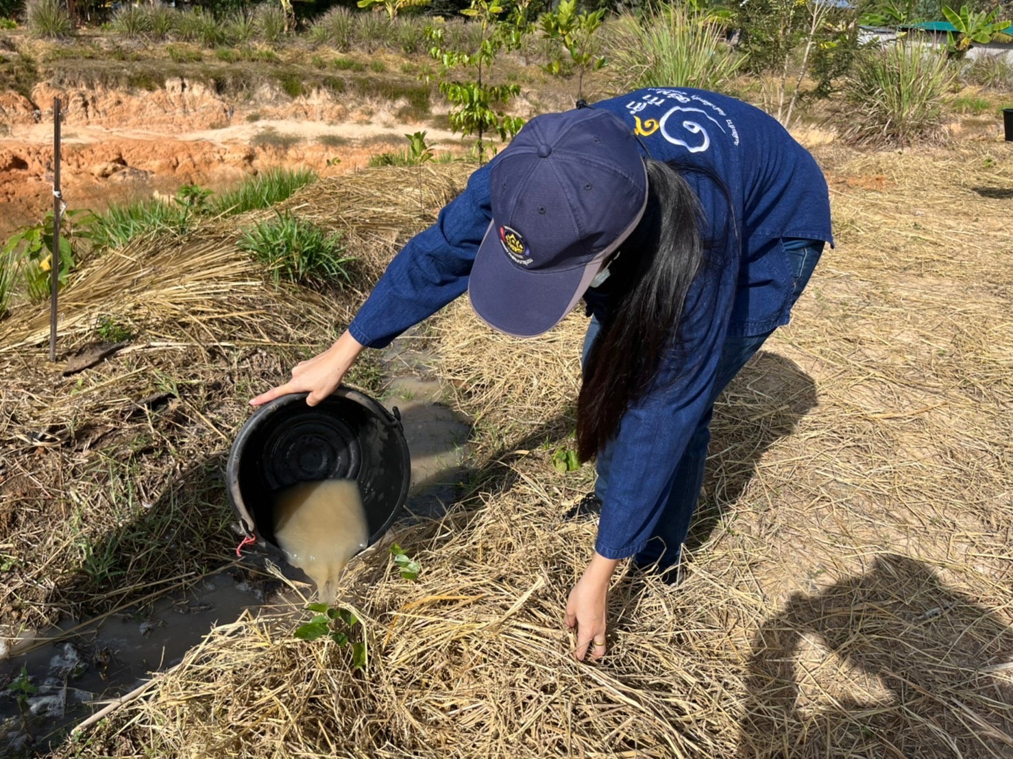 พช.มหาสารคาม ผนึกกำลังเครือข่าย “โคก หนอง นา พัฒนาชุมชน” จังหวัดมหาสารคาม จัดกิจกรรม “เอามื้อสามัคคี” แปลง CLM ศูนย์เรียนรู้ชุมชนต้นแบบการพัฒนาคุณภาพชีวิต โคก หนอง นา พัฒนาชุมชน ตำบลหนองเม็ก อำเภอนาเชือก จังหวัดมหาสารคาม