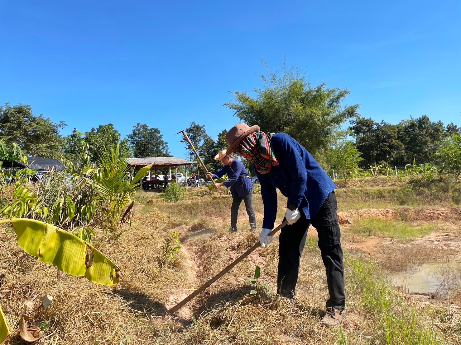พช.มหาสารคาม รวมพลังภาคี เครือข่าย โคก หนอง นา สืบสานศาสตร์พระราชา ผ่านกิจกรรมวันดินโลก Word Soil Day 2022 ภายใต้แนวคิด “อาหาร ก่อกำเนิด เกิดจากดิน”