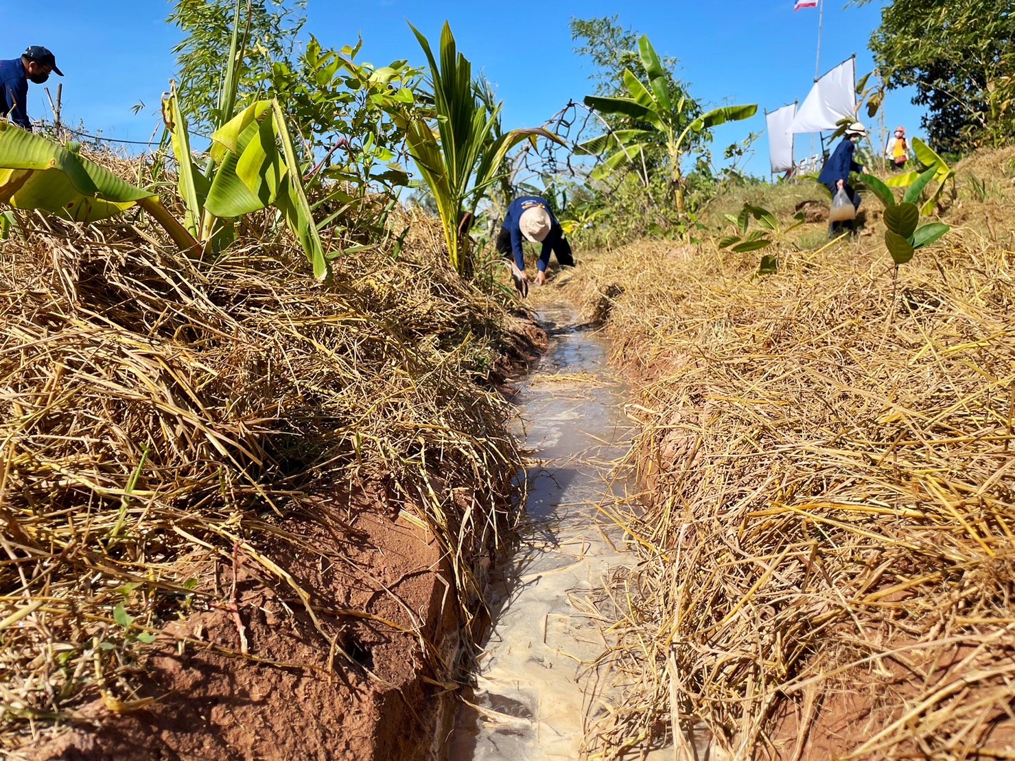 พช.มหาสารคาม รวมพลังภาคี เครือข่าย โคก หนอง นา สืบสานศาสตร์พระราชา ผ่านกิจกรรมวันดินโลก Word Soil Day 2022 ภายใต้แนวคิด “อาหาร ก่อกำเนิด เกิดจากดิน”