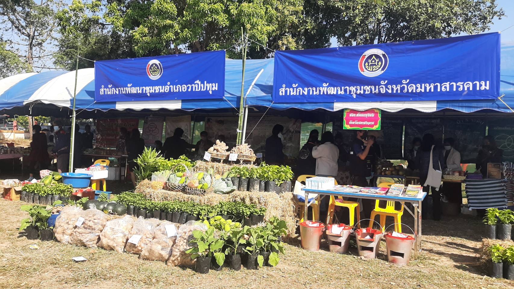 พช.มหาสารคาม ร่วมโครงการปกป้องและเชิดชูสถาบันพระมหากษัตริย์ และหน่วยบำบัดทุกข์ บำรุงสุข สร้างรอยยิ้มให้ประชาชน (จังหวัดเคลื่อนที่) อำเภอวาปีปทุม