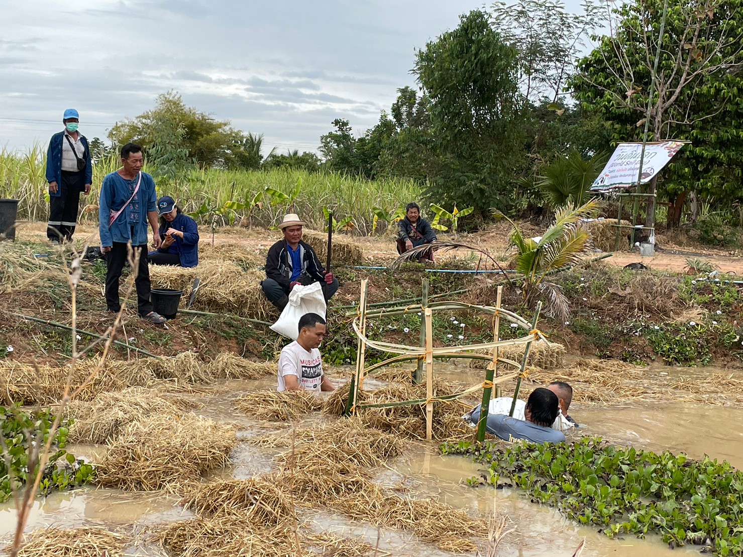 พช.มหาสารคาม ร่วมกับภาคีเครือข่ายโคกหนองนา พช.มหาสารคาม จัดกิจกรรมเอามื้อสามัคคี ณ แปลงโคกหนองนา อำเภอชื่นชม